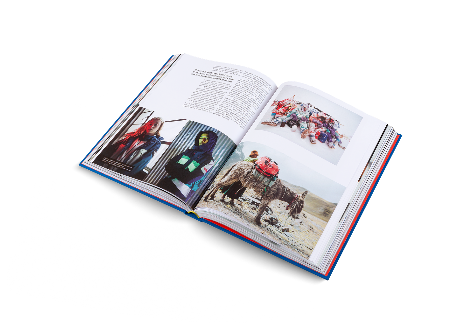 The Incomplete (Updated Edition)