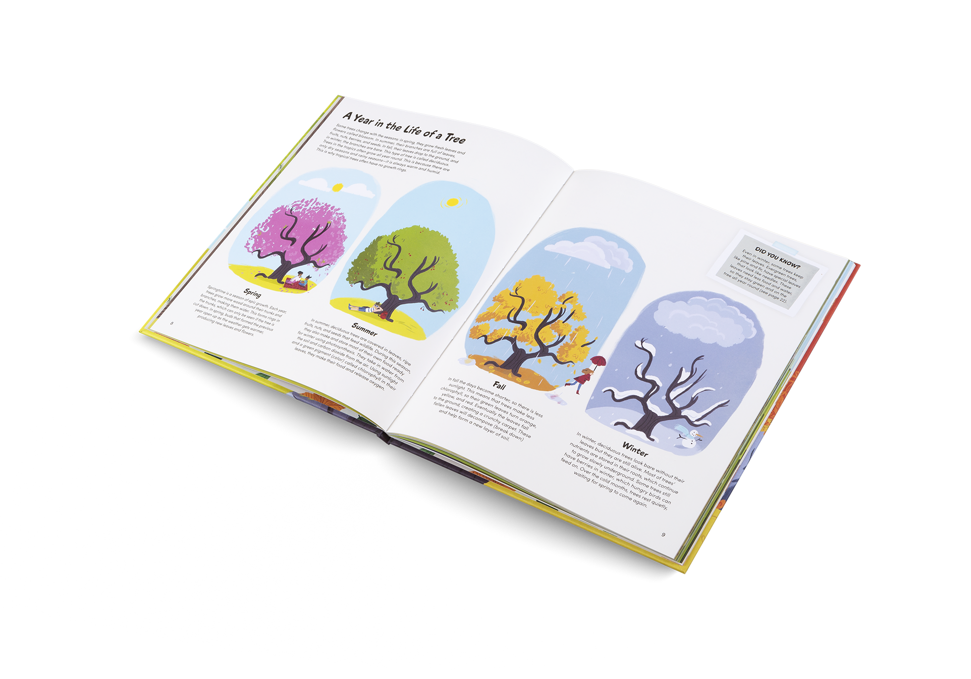 The Little Book of Trees