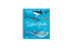 The World of Sharks