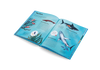 The World of Sharks