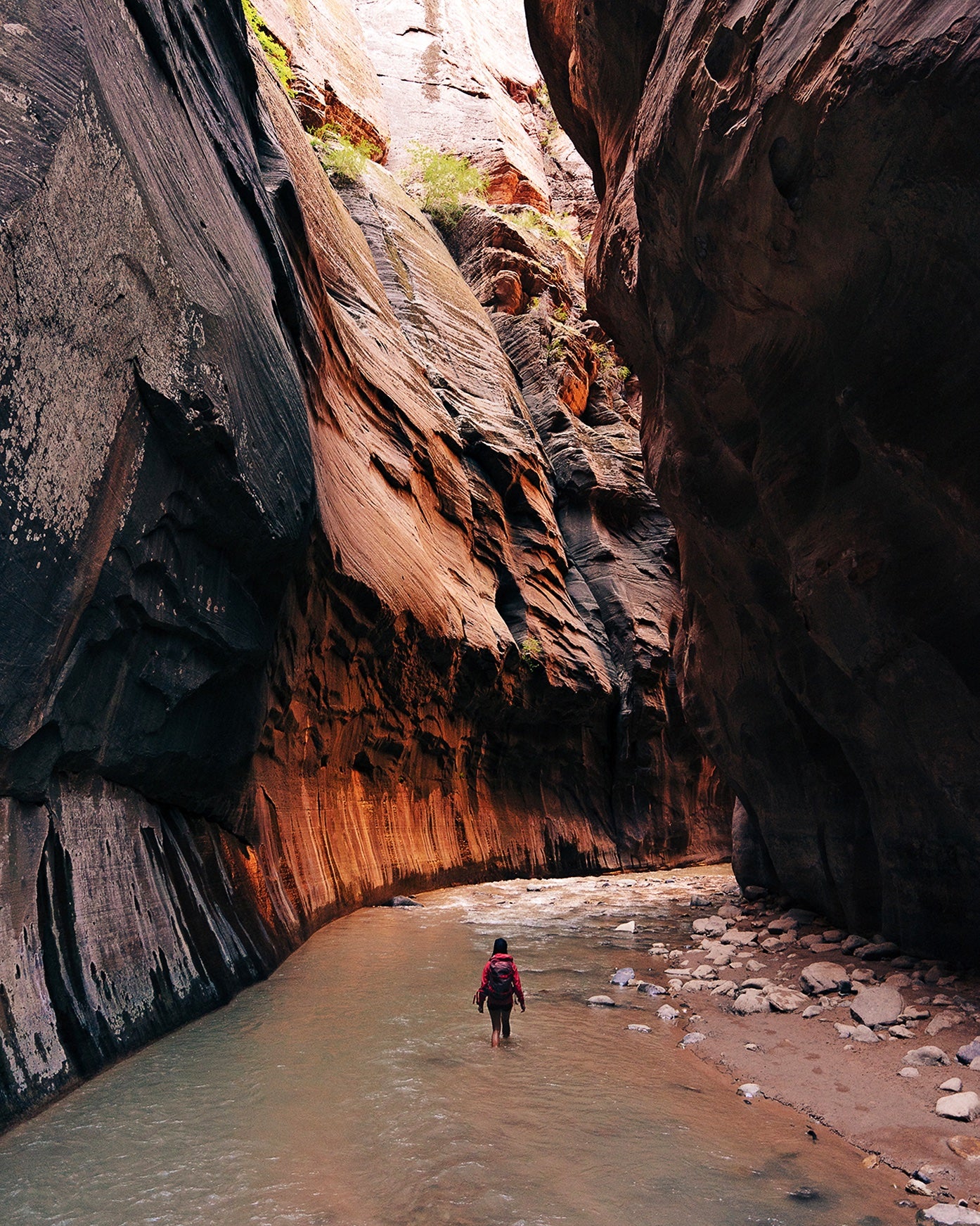 Wanderlust (Compact Edition)