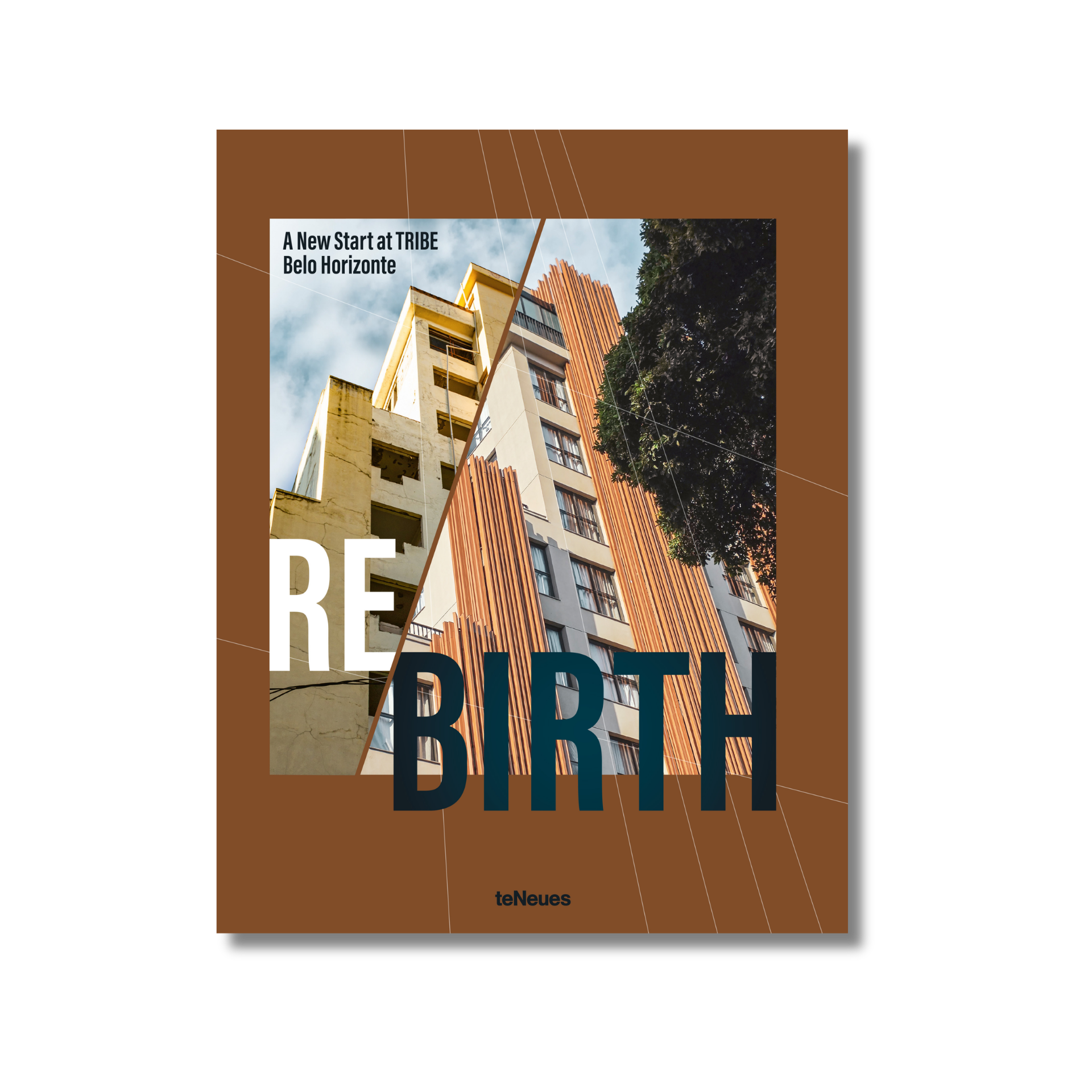 Book cover with architectural image and text 'RE BIRTH' on a brown background