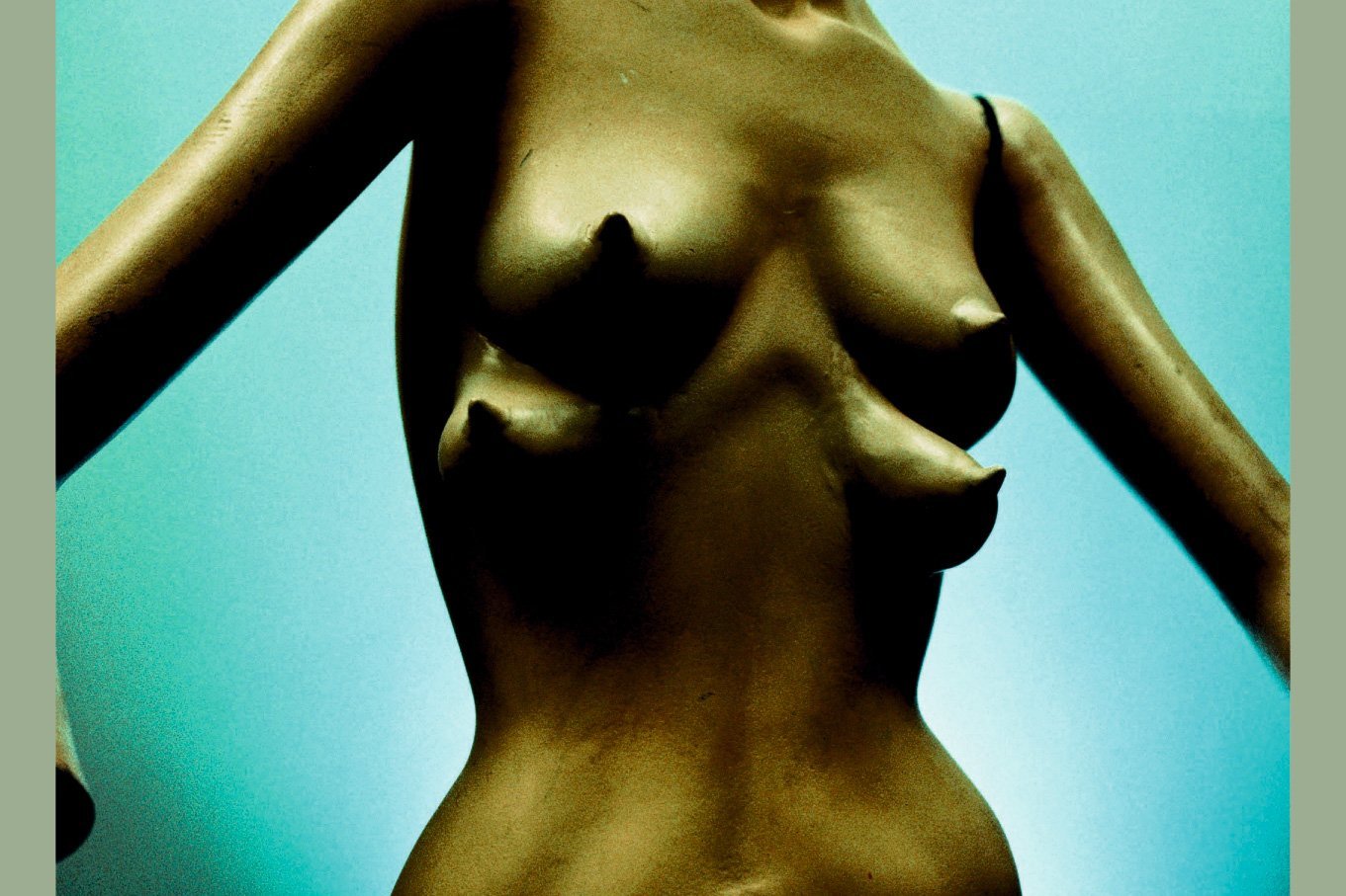 Immune 978-3-89955-069-6