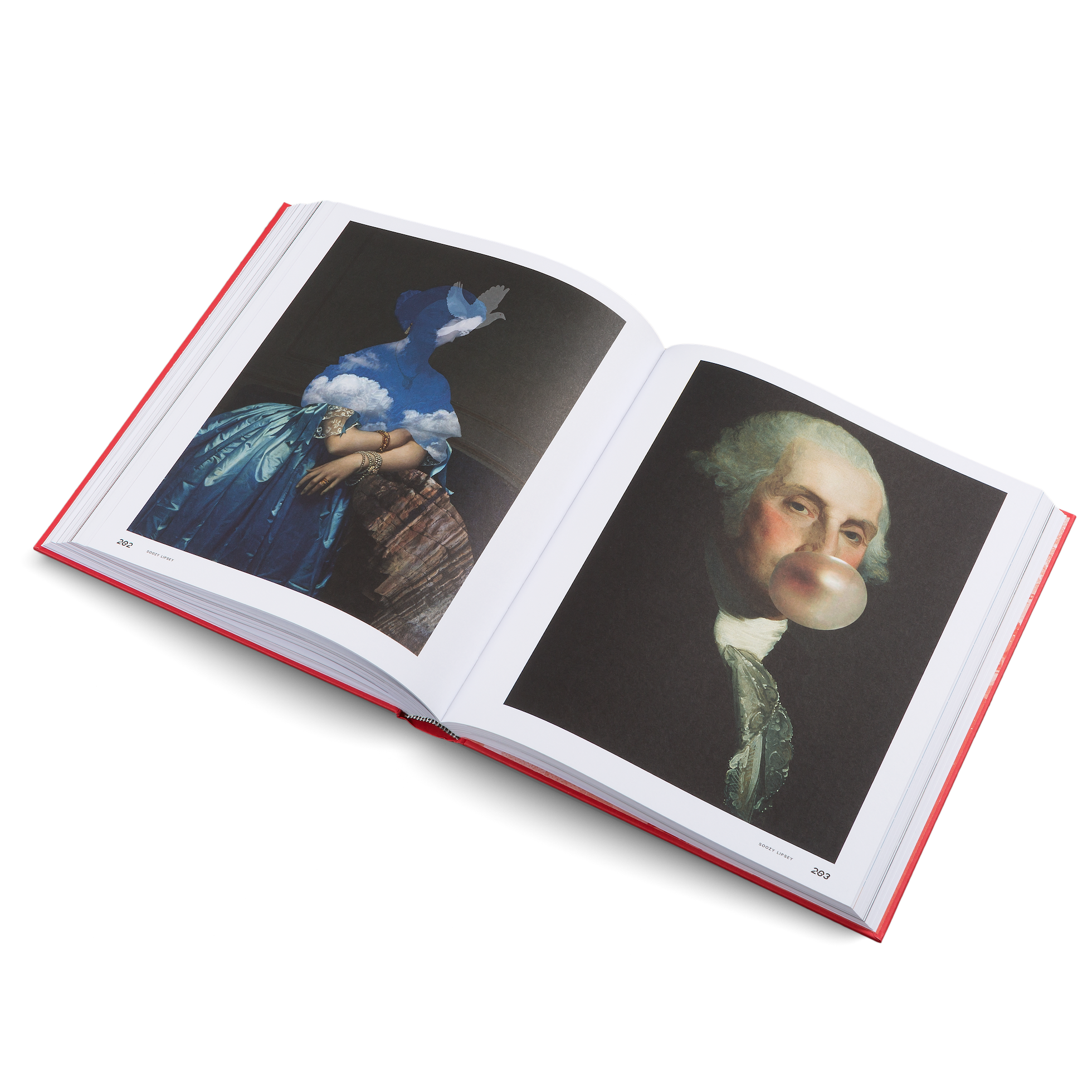 A collage by Soozy Lipsey in The Age of Collage 3 by gestalten