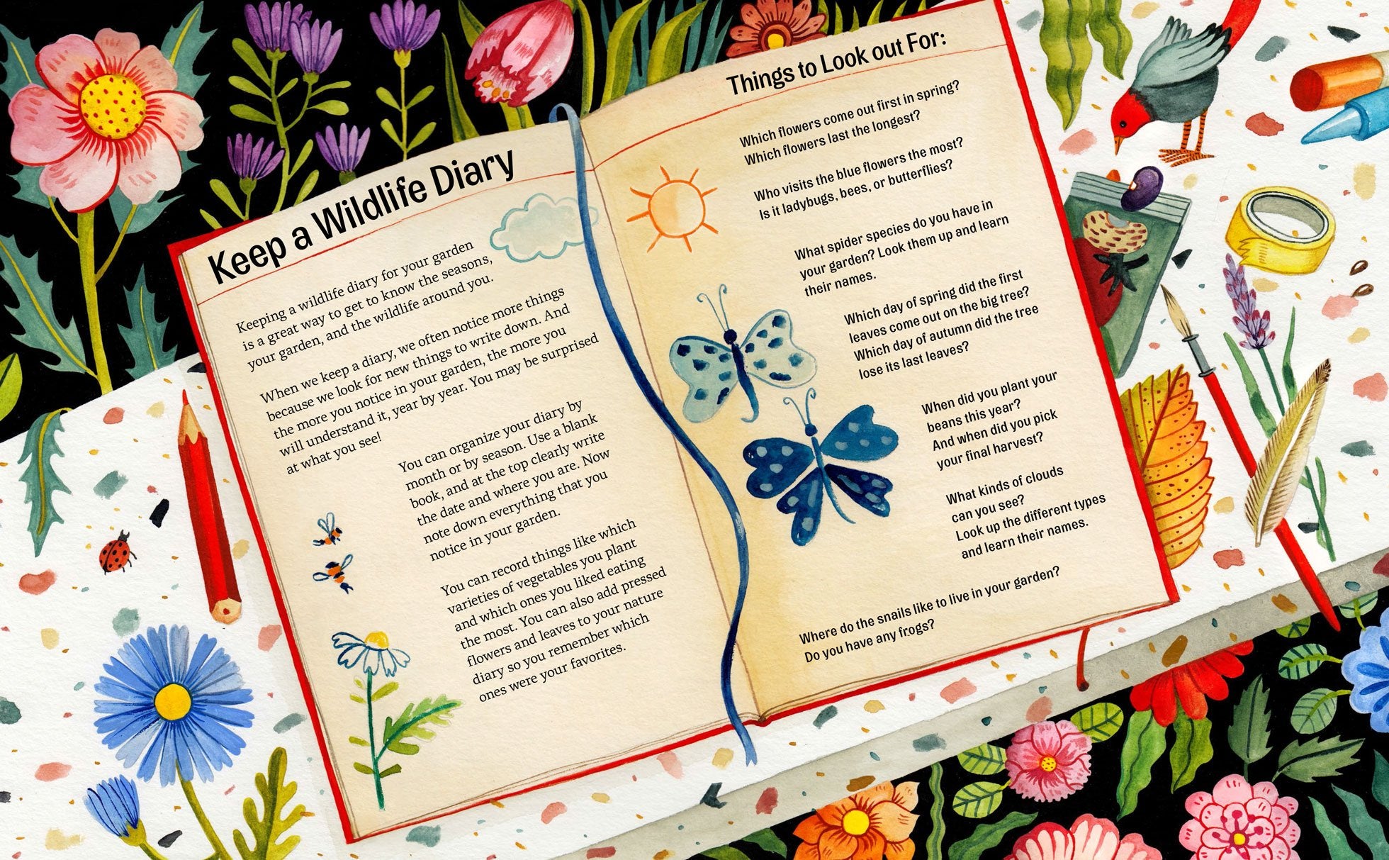 Keep a Wildlife Diary