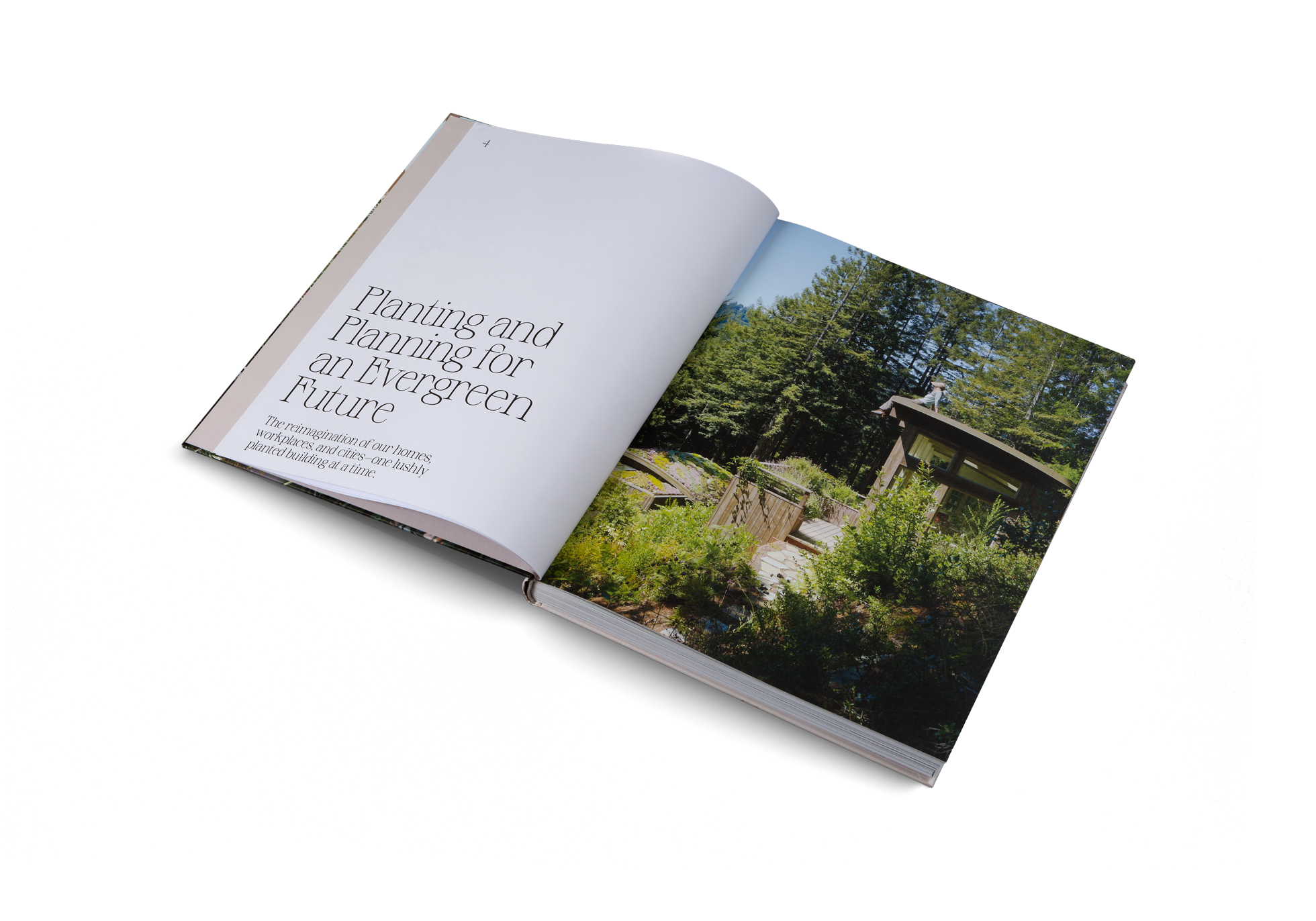 Planting and planning for an evergreen future in Evergreen Architecture by gestalten.