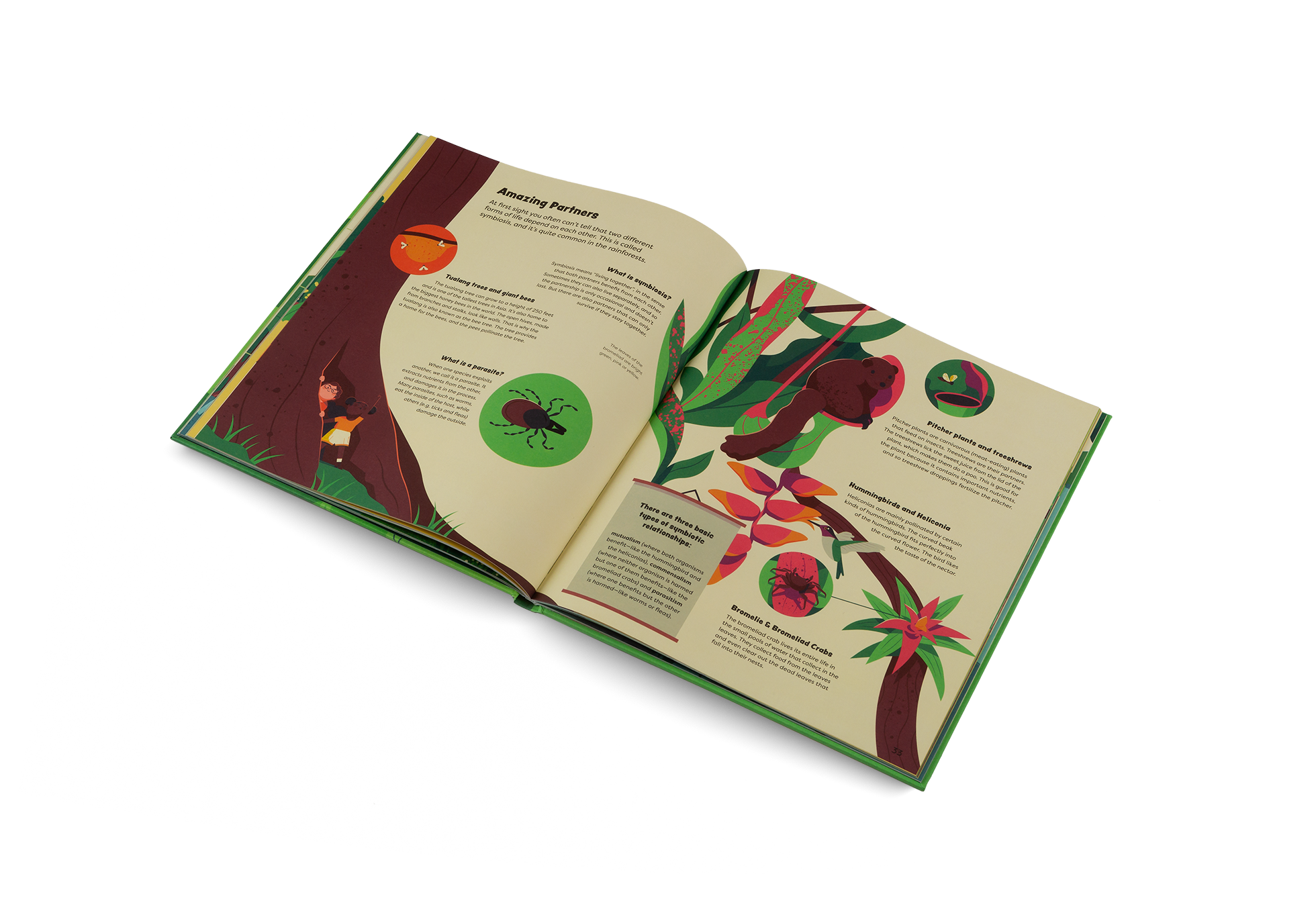 Discover the amazing partnerships of the rainforest in Explore the Rainforest by Little Gestalten
