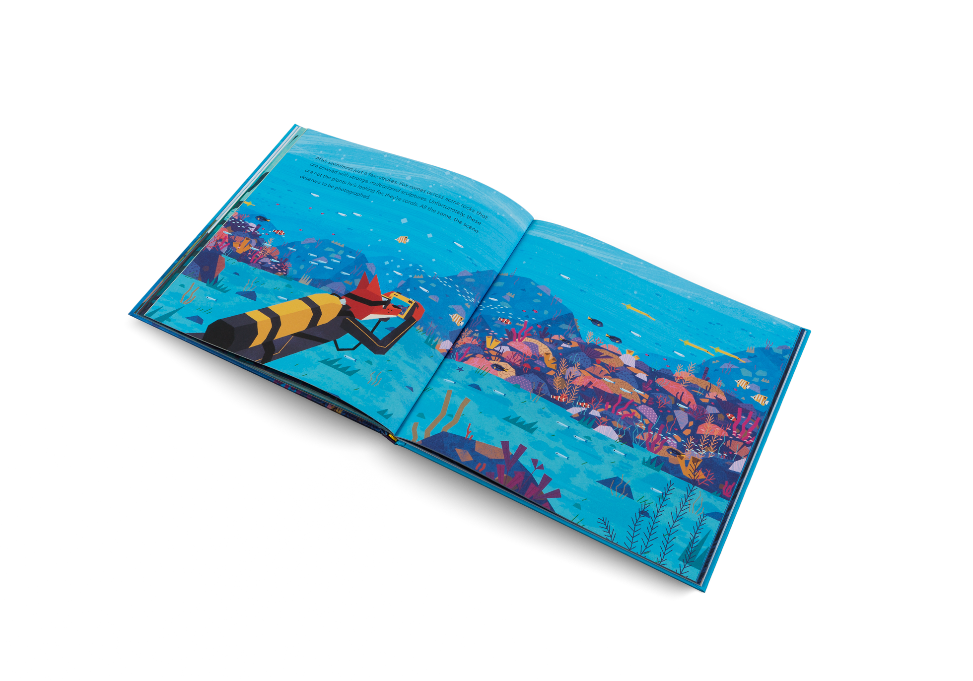 Fox is discovering corals under the sea