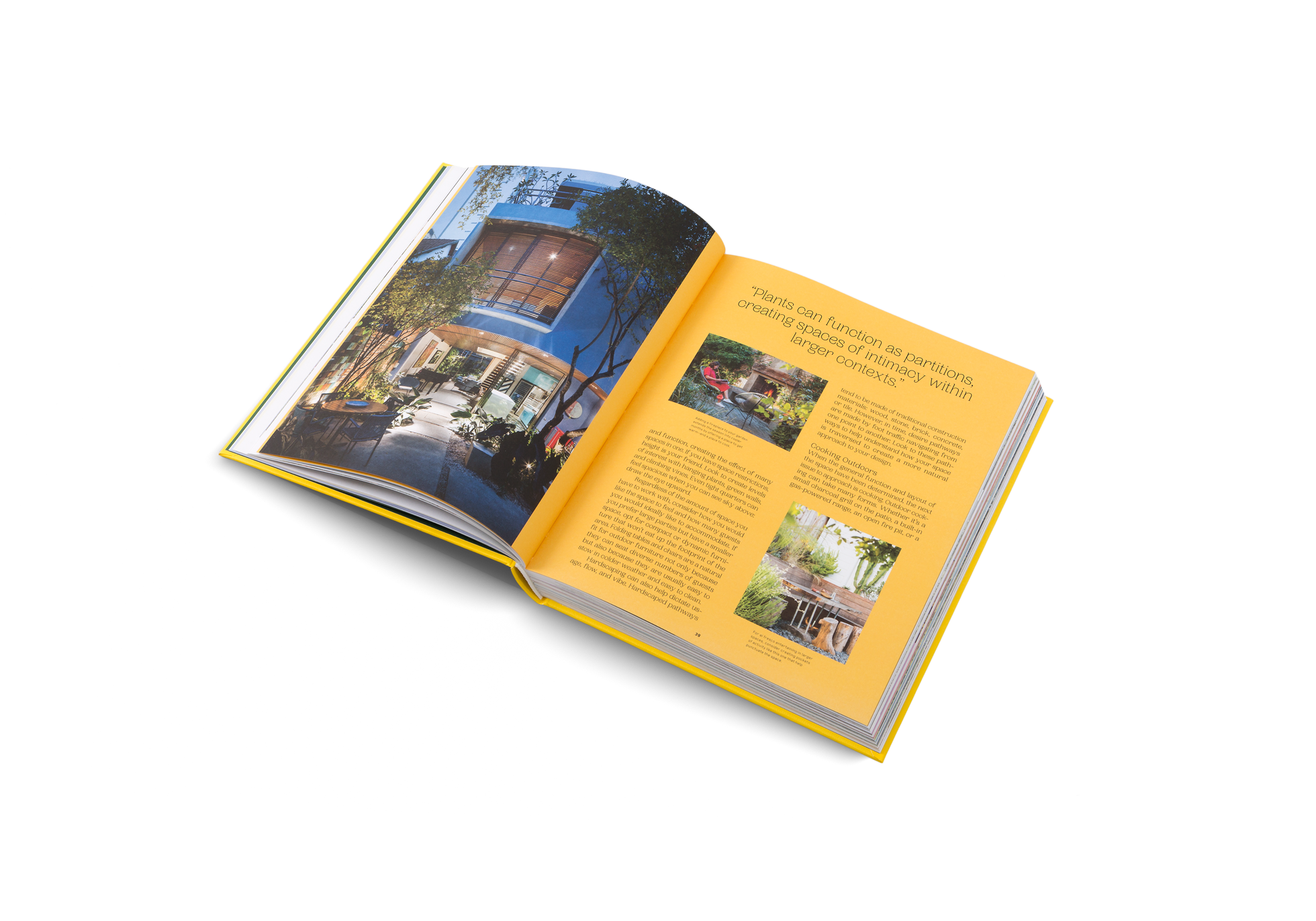 Plants in your outdoor living