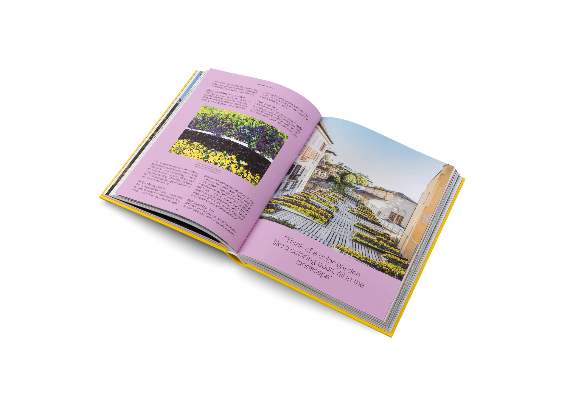 A garden for the senses with edible flowers, tisanes and fragrant herbs