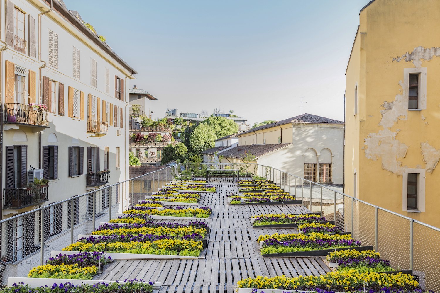 rooftop garden for the senses
