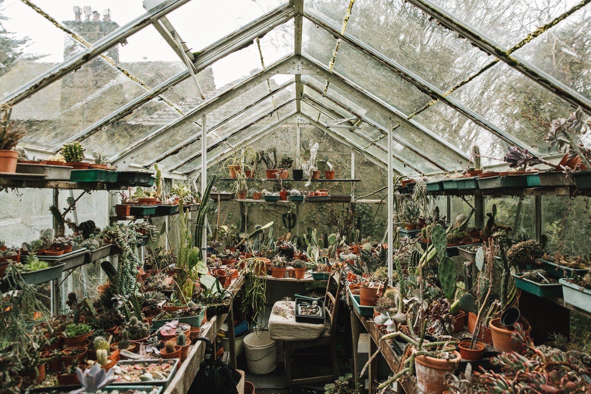 Evergreen Living with plants gestalten coffee table book