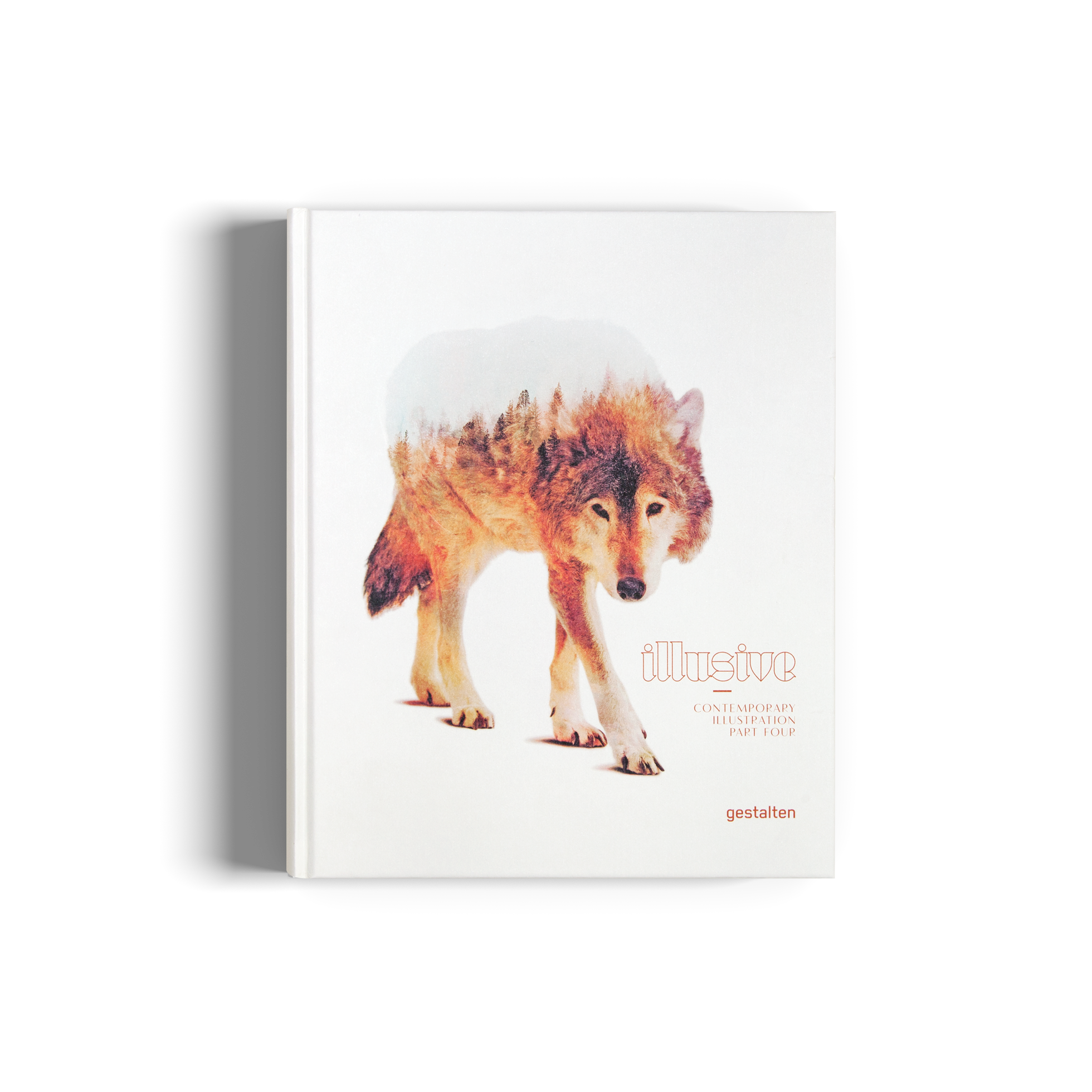 Illusive4 illustration book gestalten