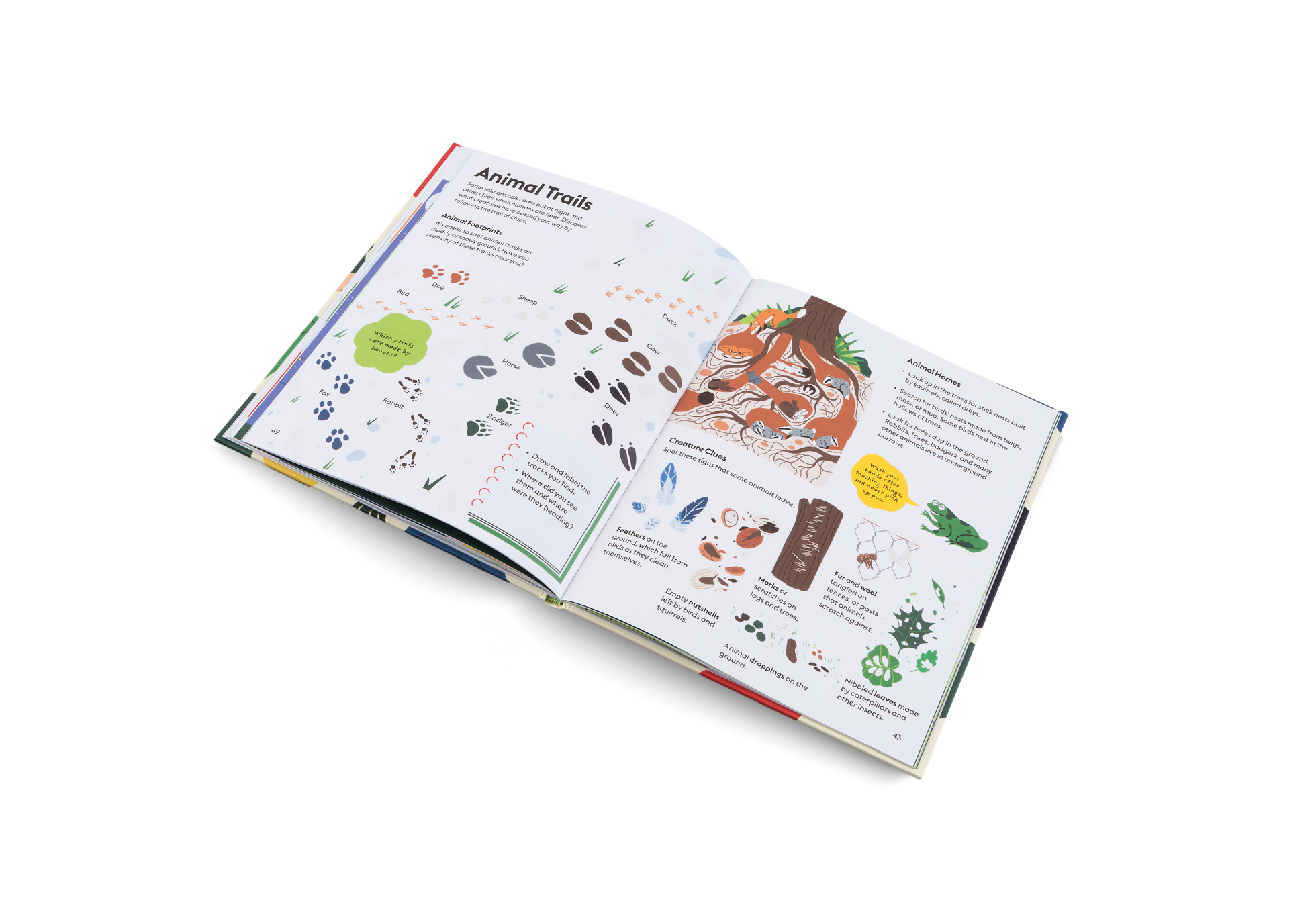 How to recognize Animal Trails