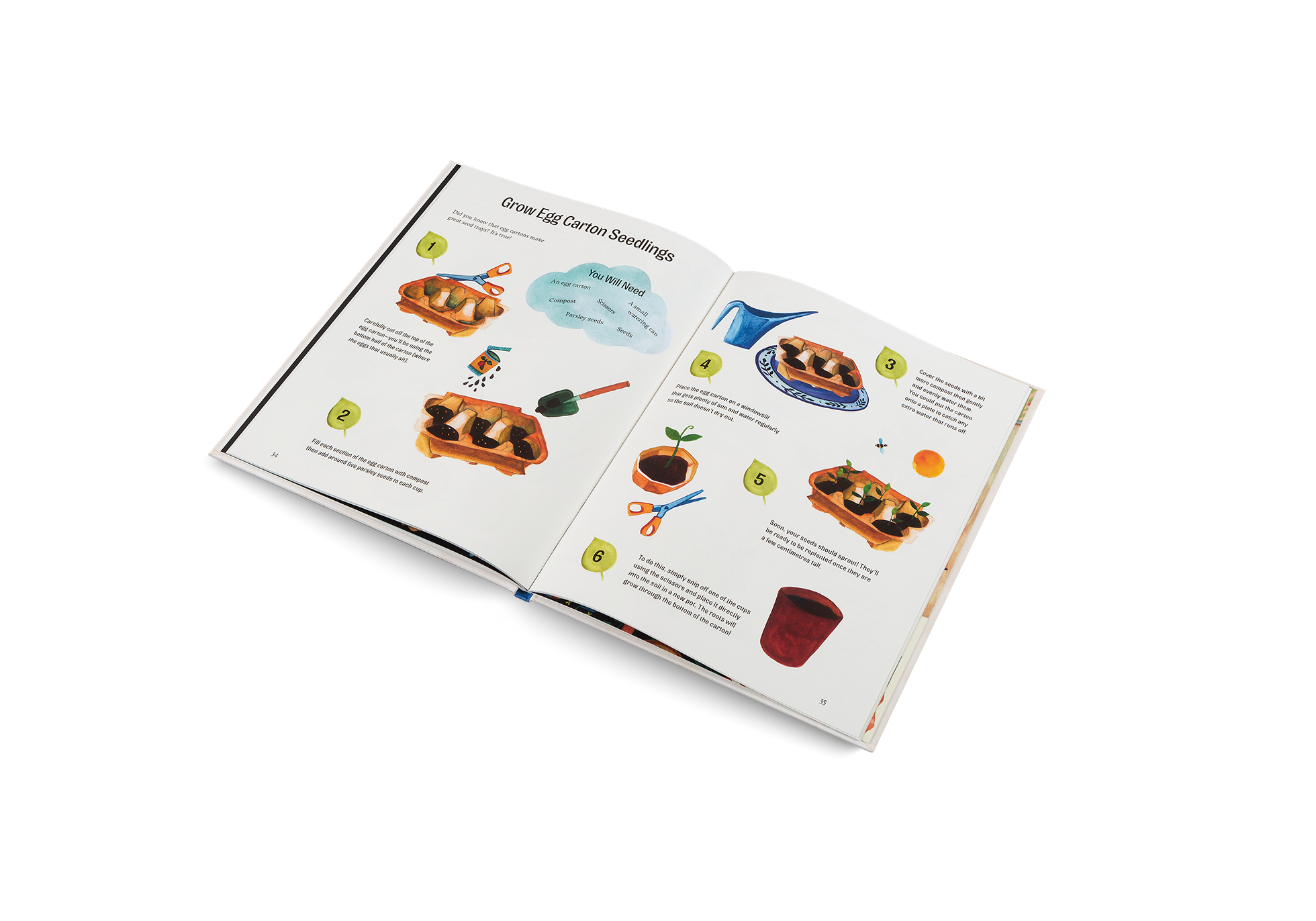 Learn how to grow egg carton seedlings with Little Green Fingers.