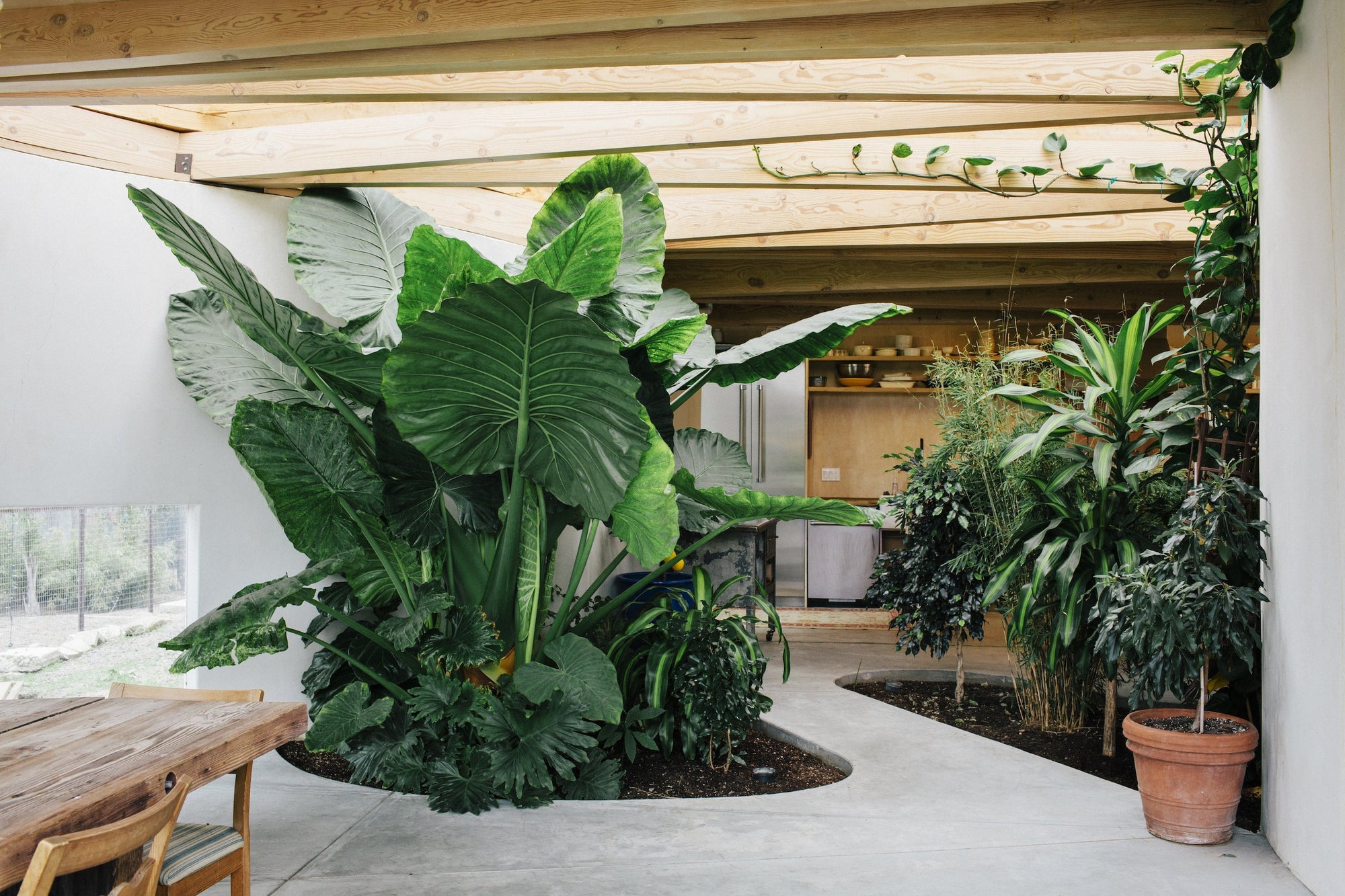 Evergreen Living with plants gestalten coffee table book