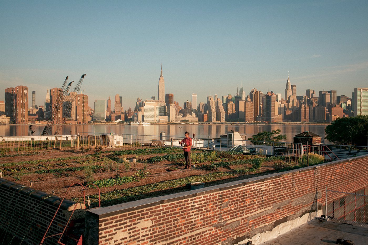 rooftop garden in New York City