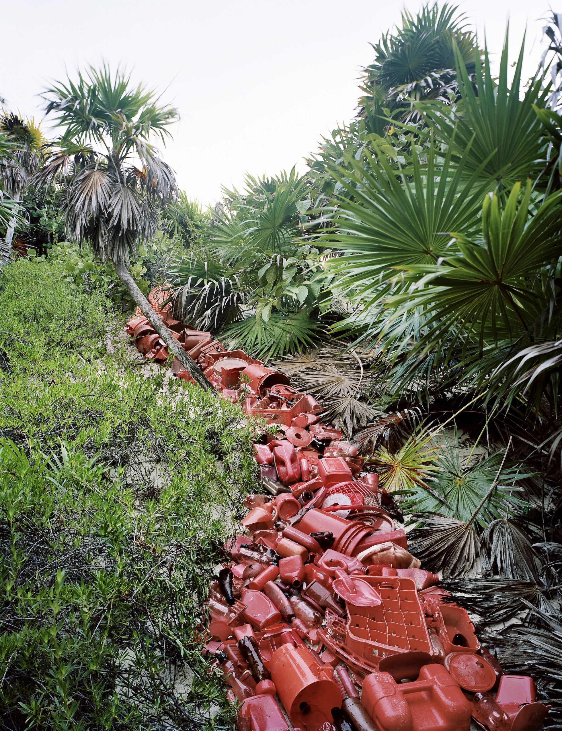 Plastic garbage in a tropical forest in Photoviz