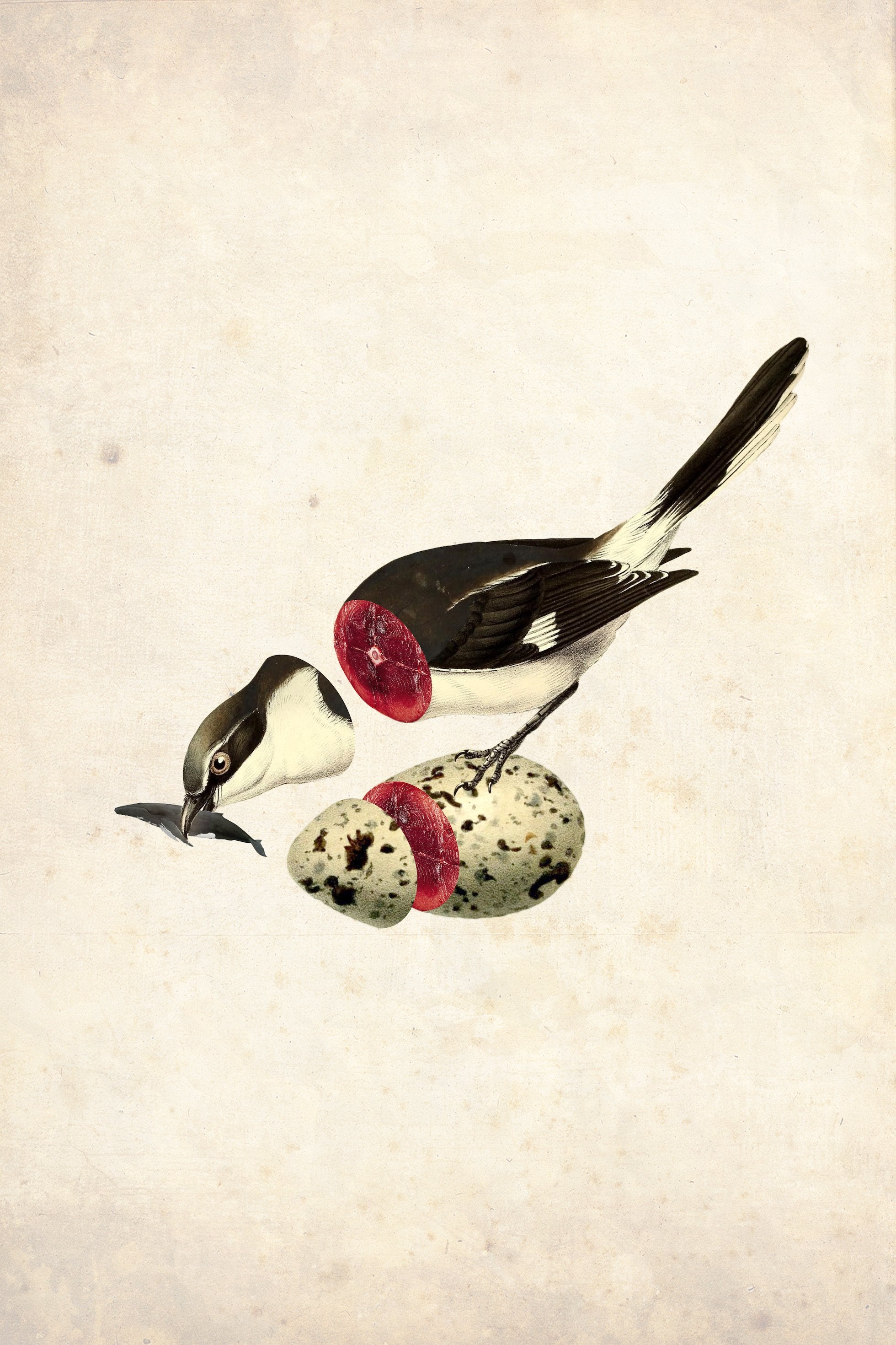 The Age of Collage Vol.2 gestalten coffee table book