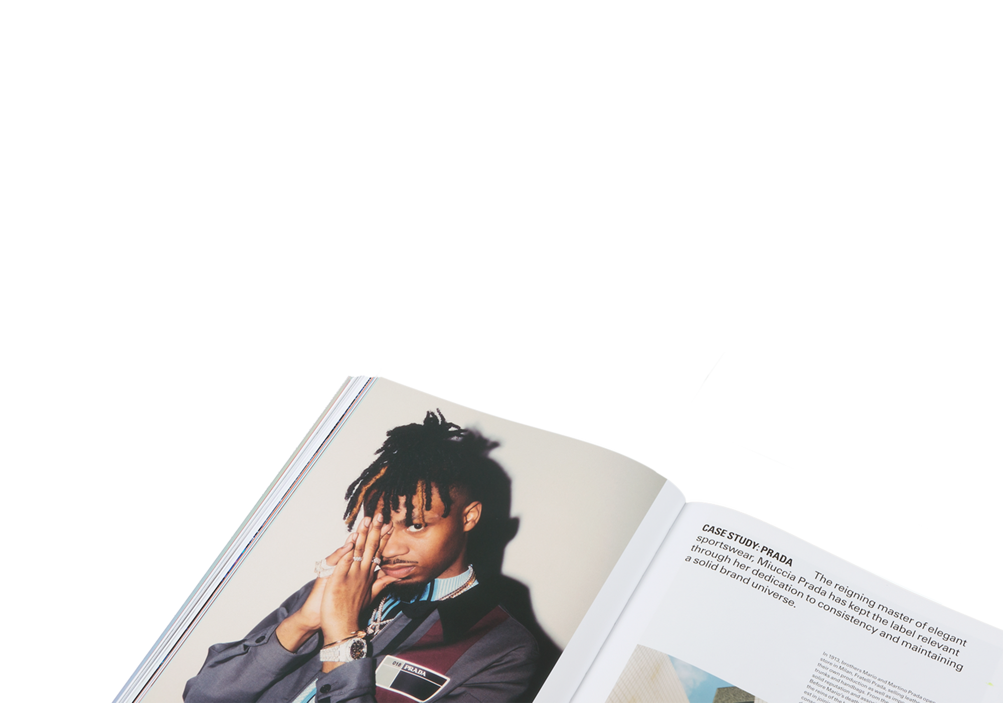 Case Study about Prada in The New Luxury