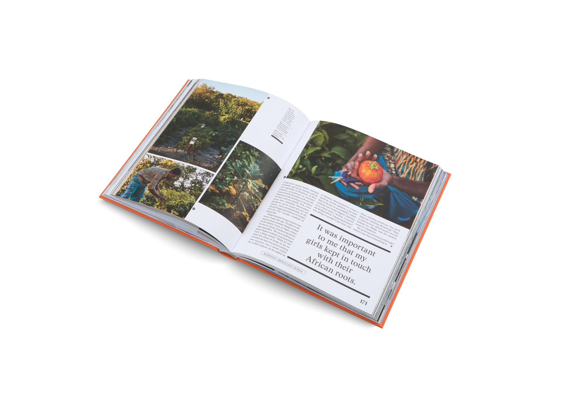 African roots and heritage in The New Traditional