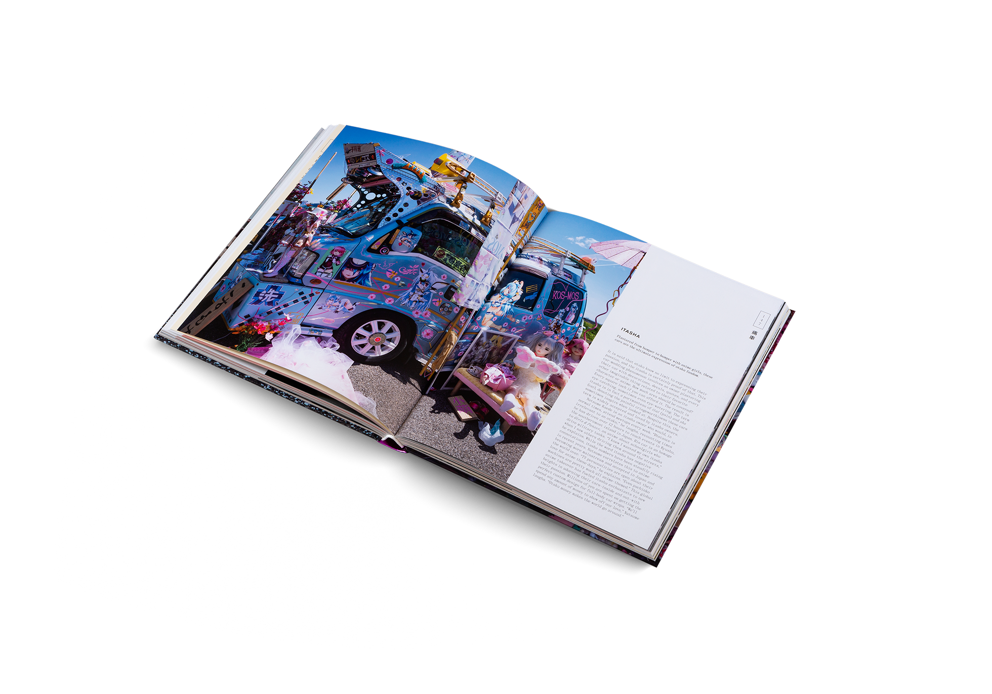 The Obsessed - Otaku, Tribes, and Subcultures of Japan - DIE