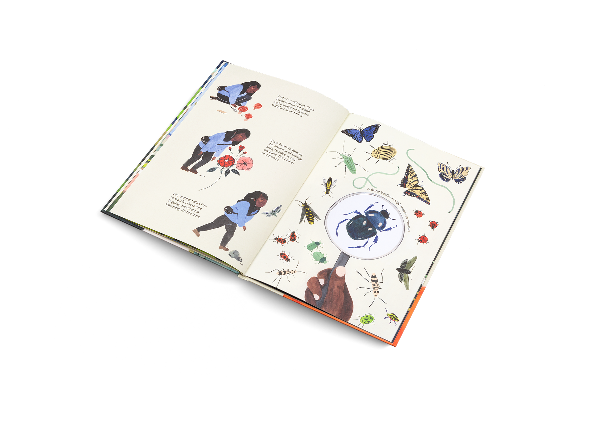 Clara is a scientist. Clara keeps a little notebook and a magnifying glass with her at all times.