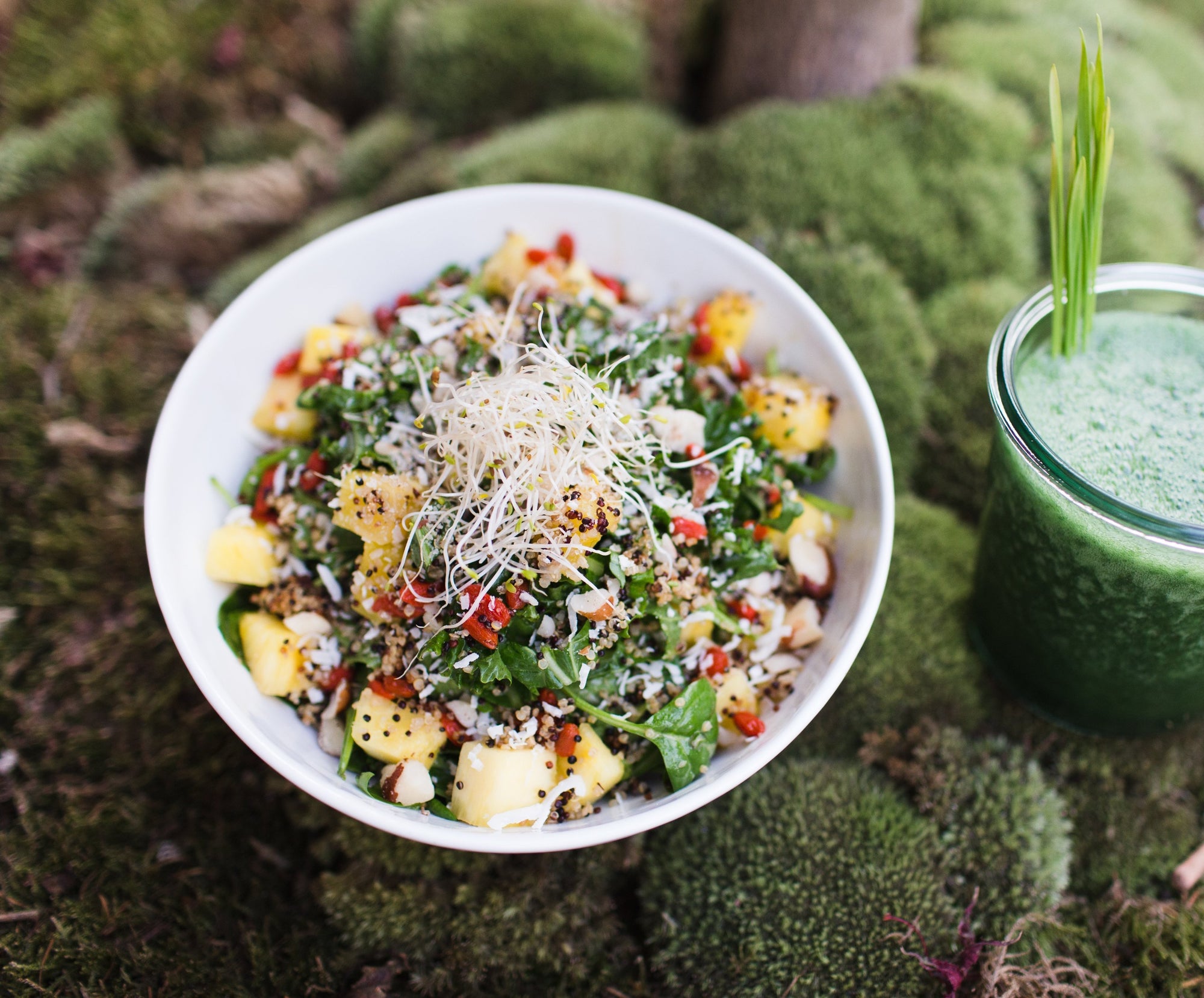 The Delicious gestalten book food trends photography