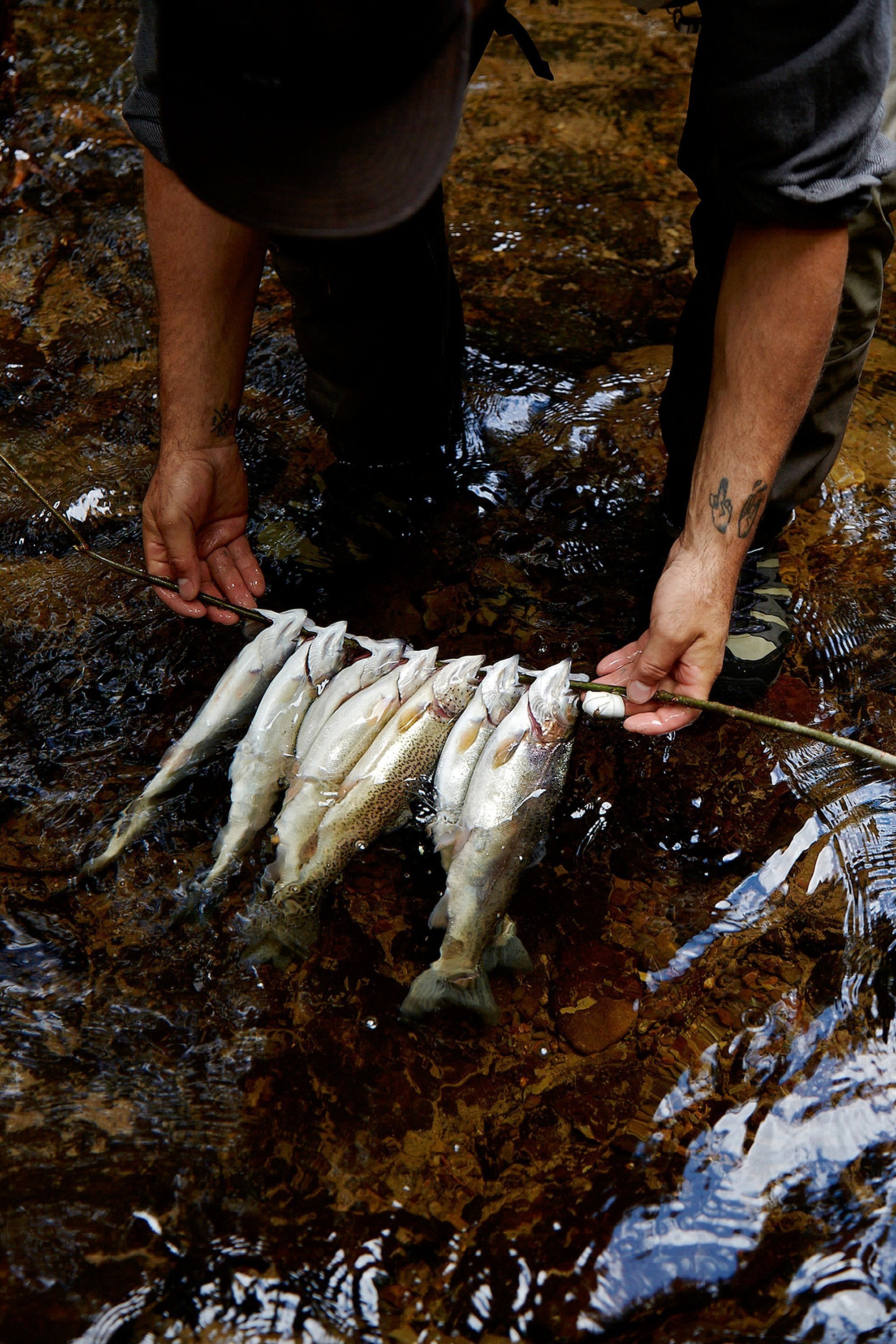 Fishing in a river with detailed fly fishing techniques in The Fly Fisher