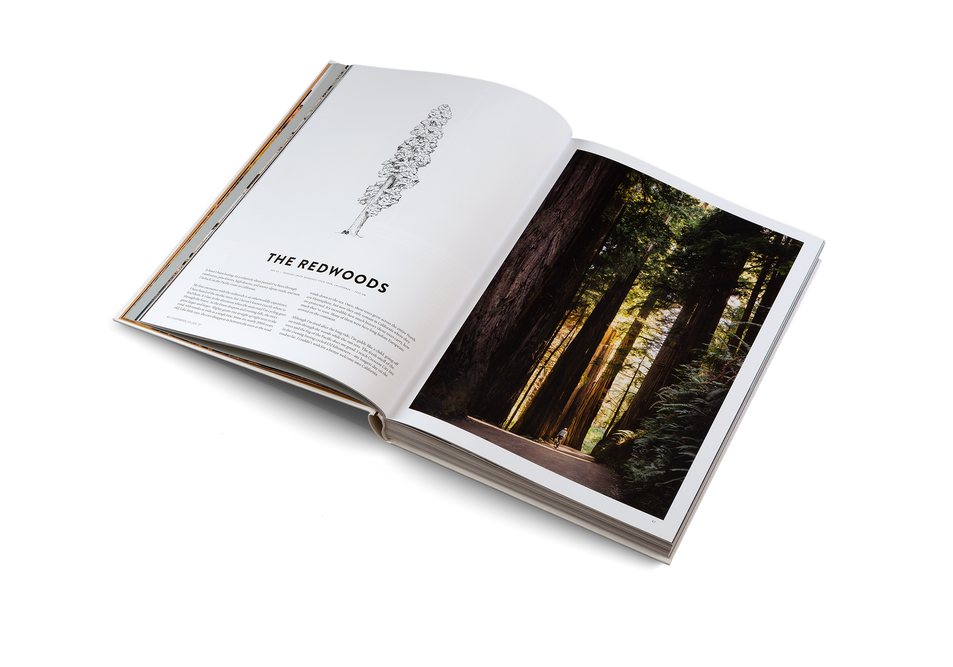 Discover The Redwoods in Two Years on a Bike by gestalten and Martijn Doolaard