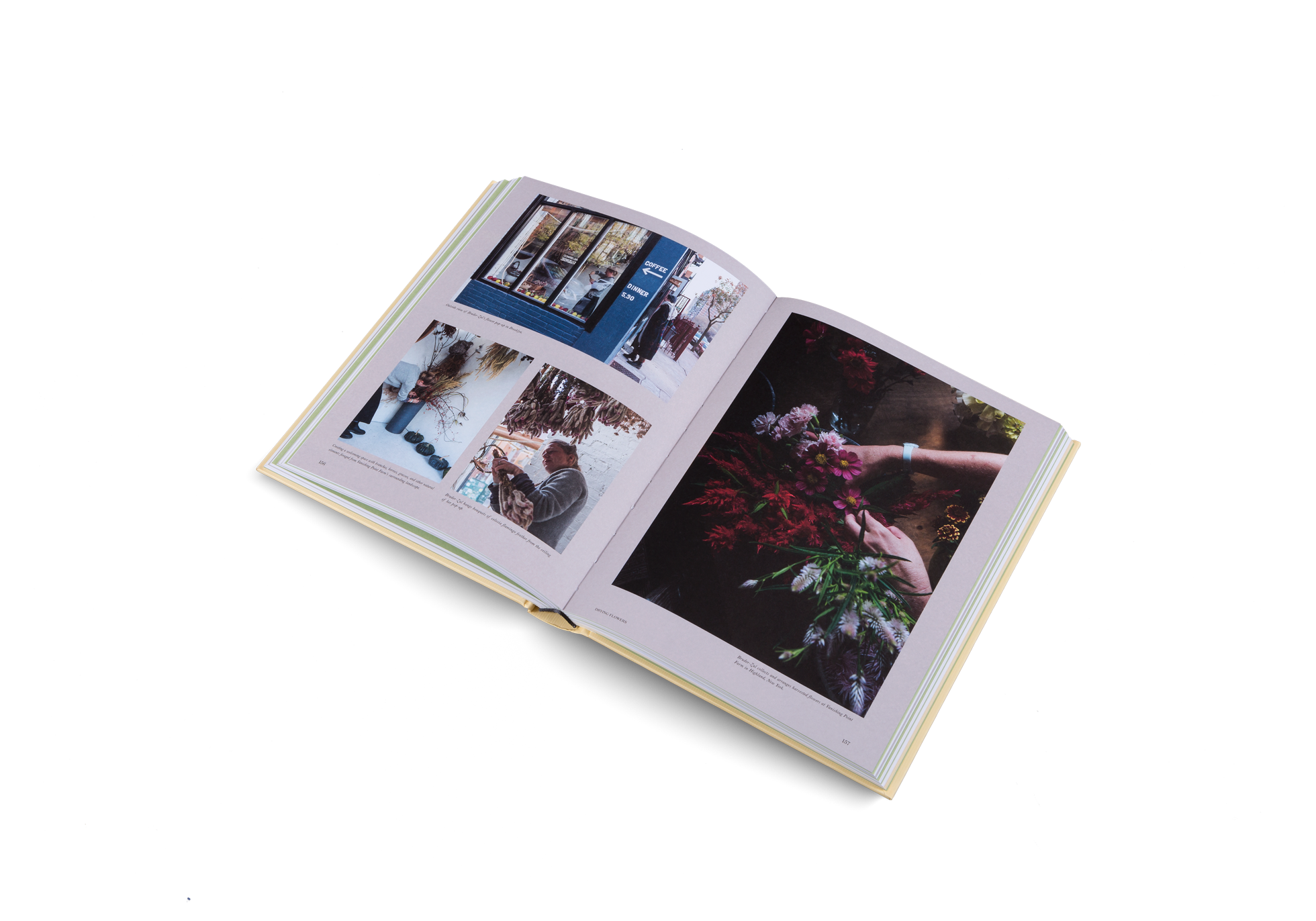 Outside view of Bruder-Zal’s flower pop-up in Brooklyn, find out more about Bruder-Zal in Urban Farmers by gestalten.