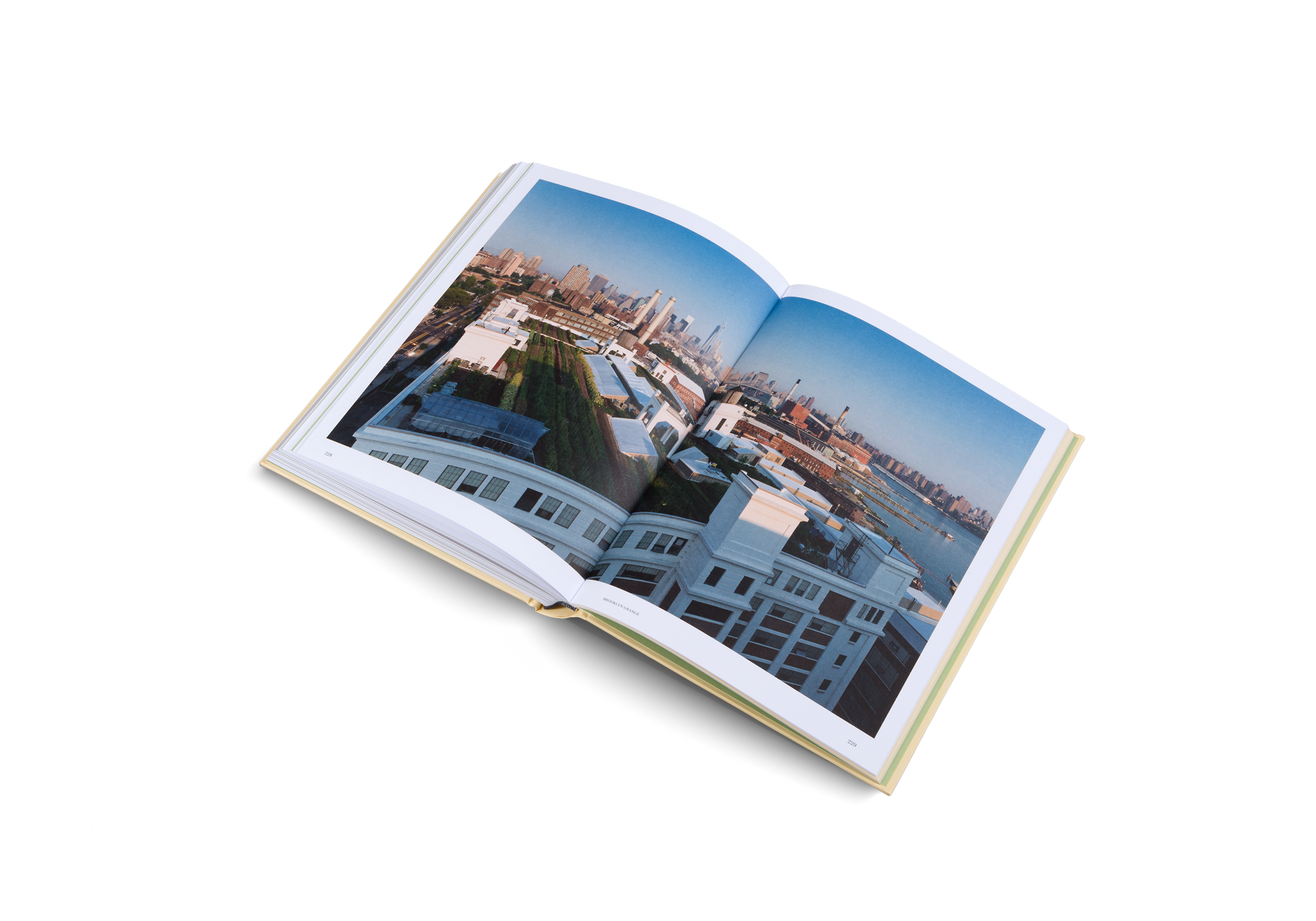 A rooftop farm by Brooklyn Grange in Urban Farmers by gestalten and Valery Rizzo