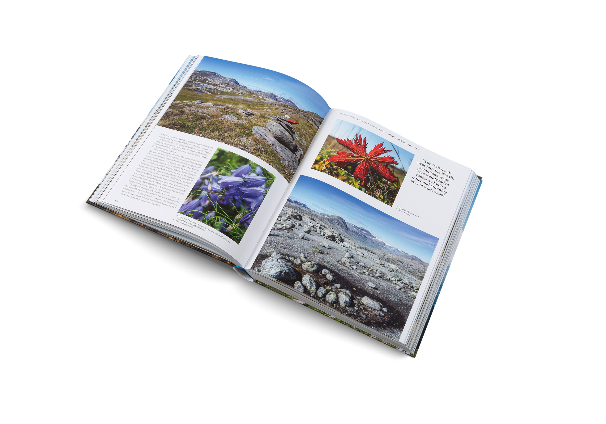 The Nordkalottleden trail heads west into the Narvik mountains, away from well-trodden routes and into a quiet and stunning area of wilderness.