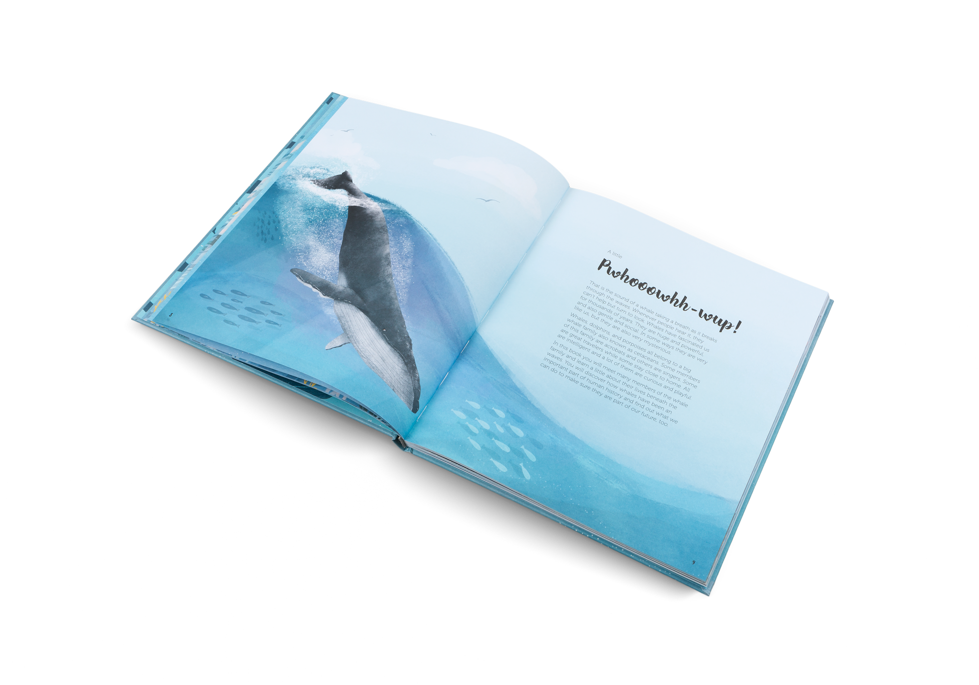 The World of Whales is a book about whales and sea life
