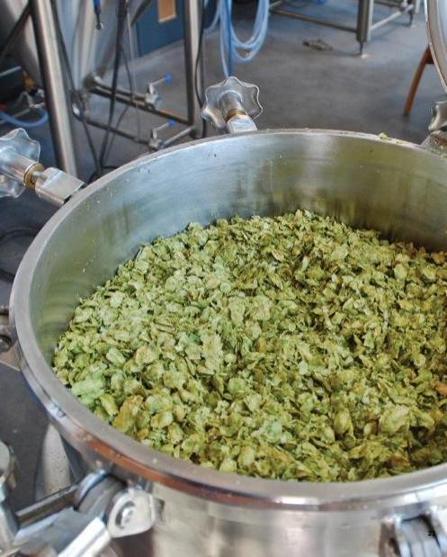 Barley & Hops book home brew brewing gestalten book