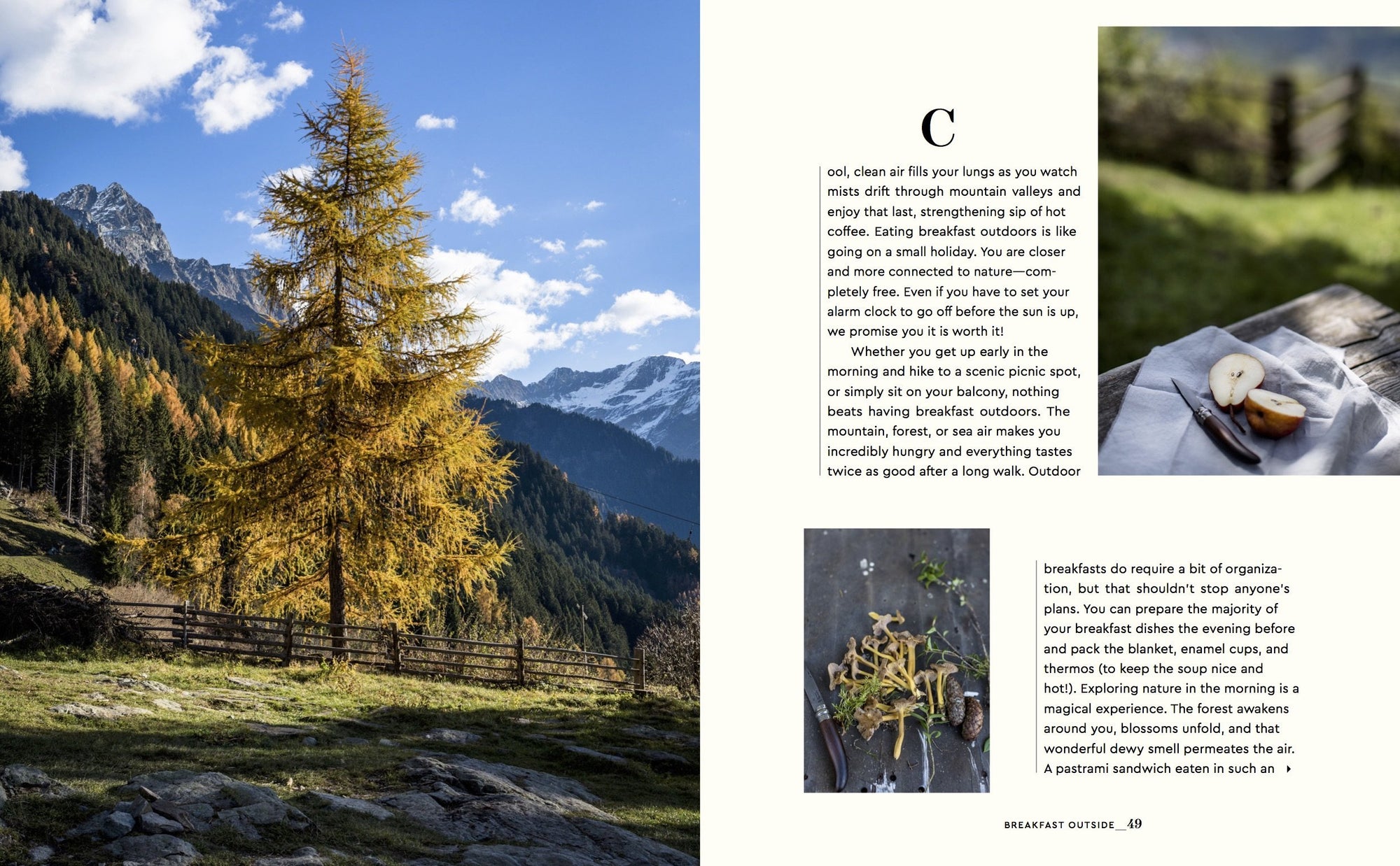 Stay for Breakfast 978-3-89955-643-8