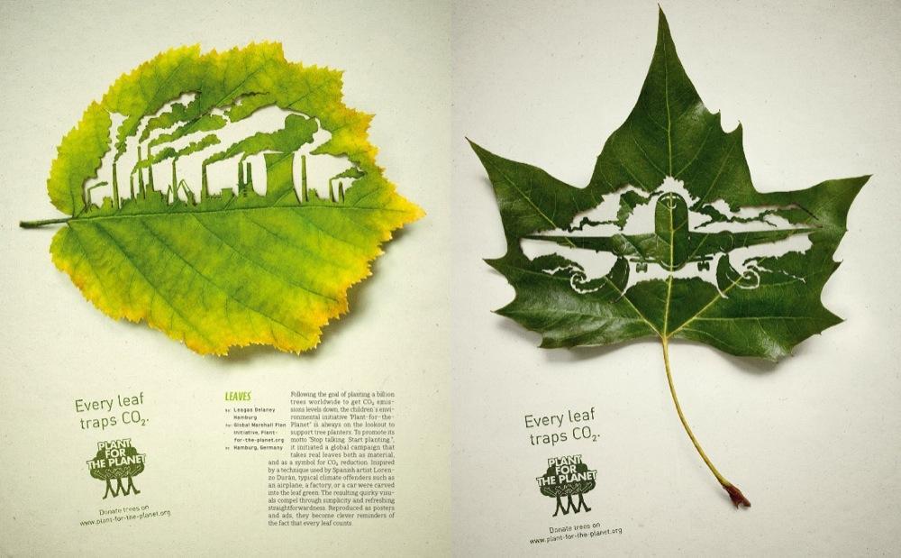 Every leaf traps CO2 plant for the planet