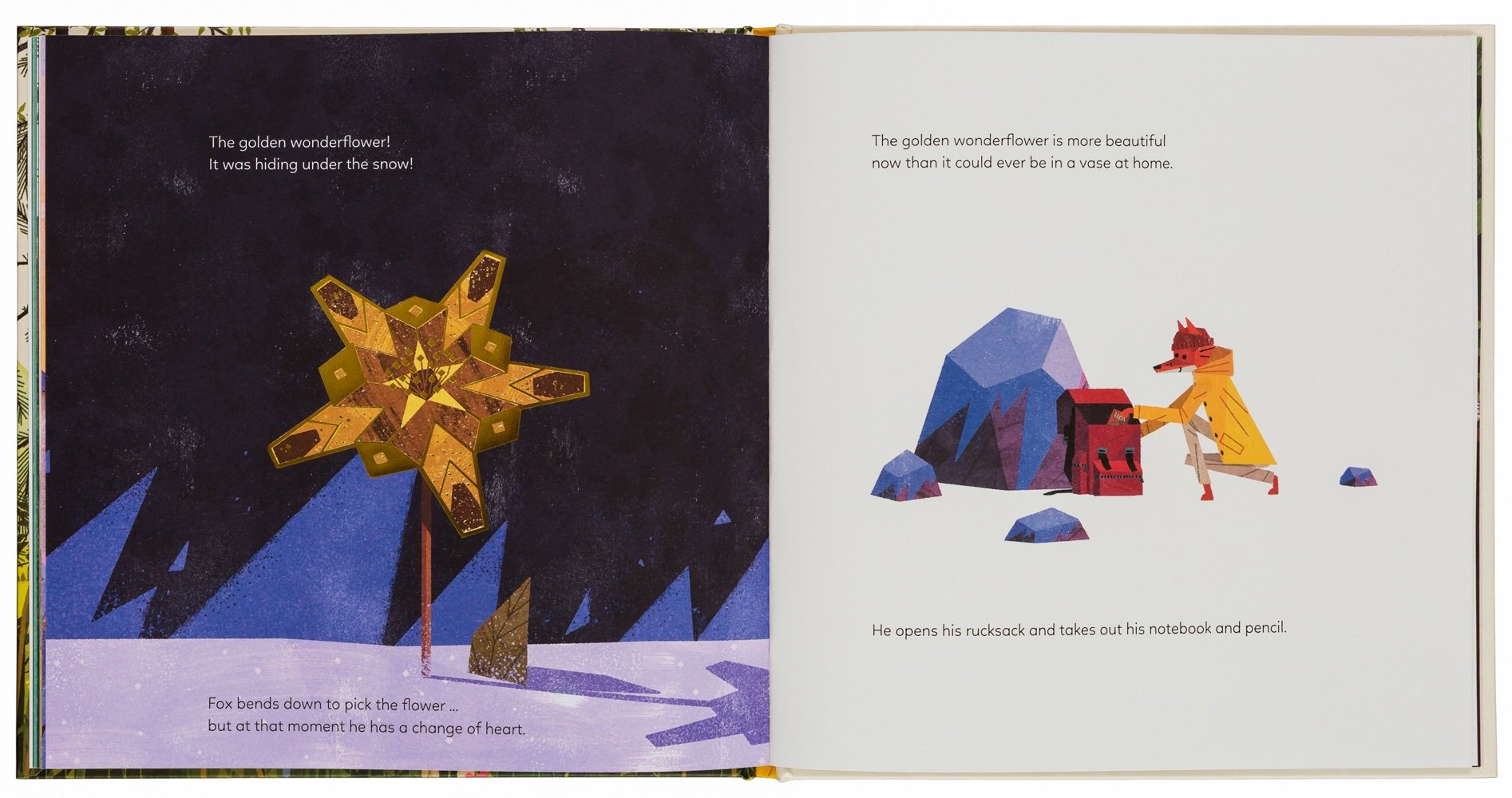 The Mystery of the Golden Wonderflower 978-3-89955-802-9