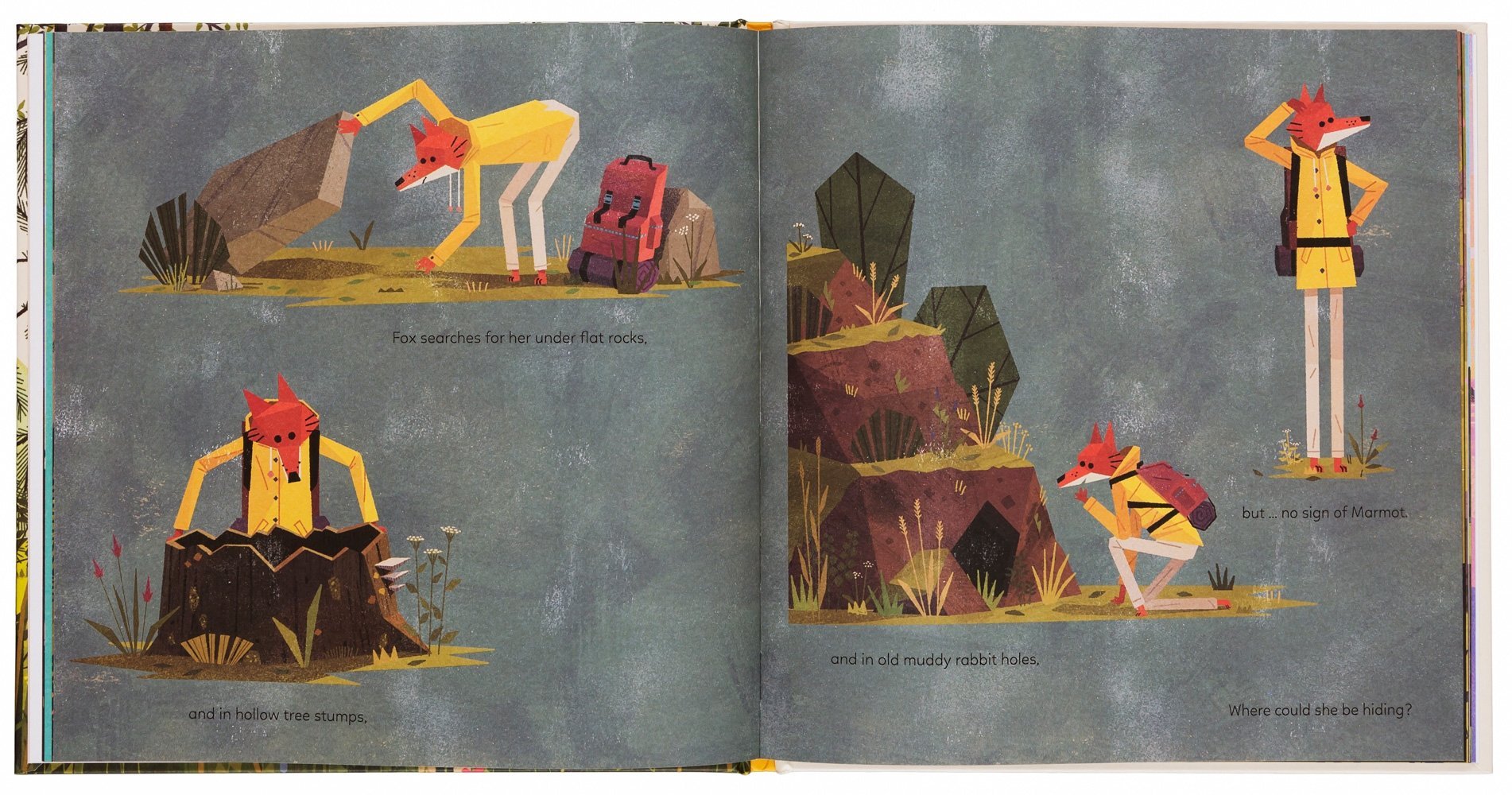 The Mystery of the Golden Wonderflower 978-3-89955-802-9