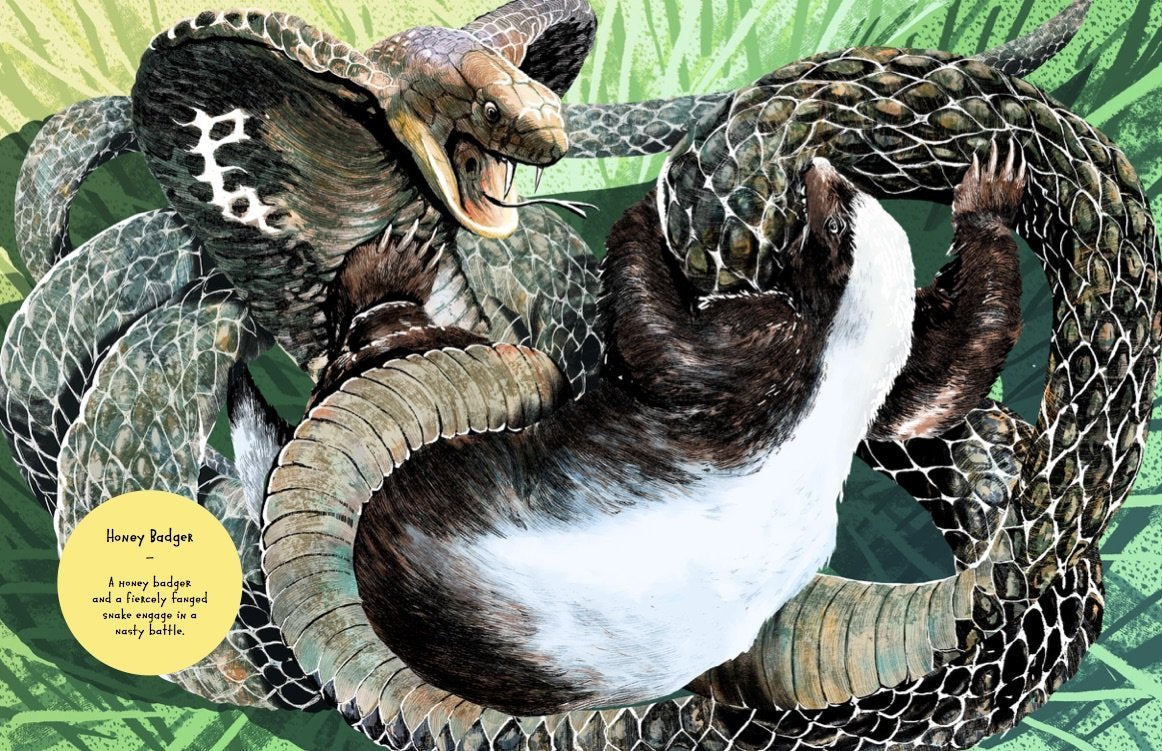 Animal Allstars 978-3-89955-782-4