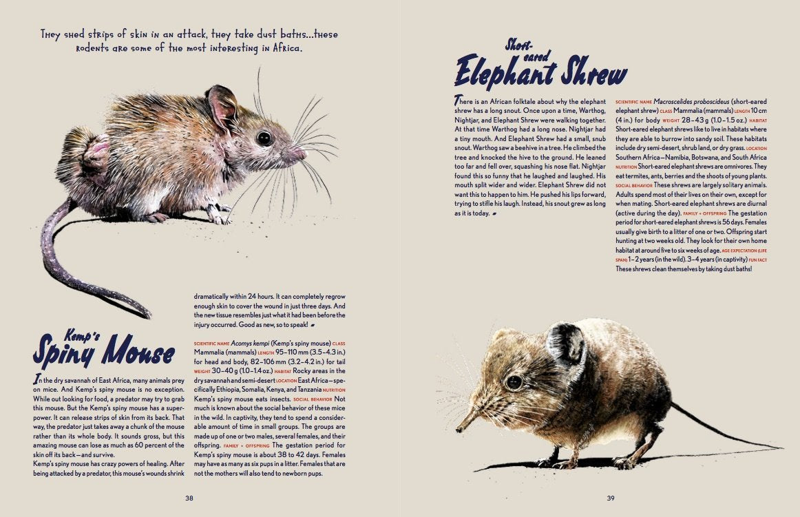 Animal Allstars 978-3-89955-782-4