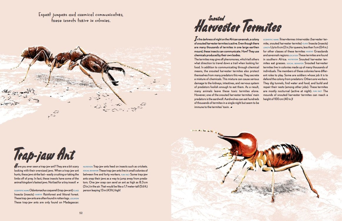 Animal Allstars 978-3-89955-782-4