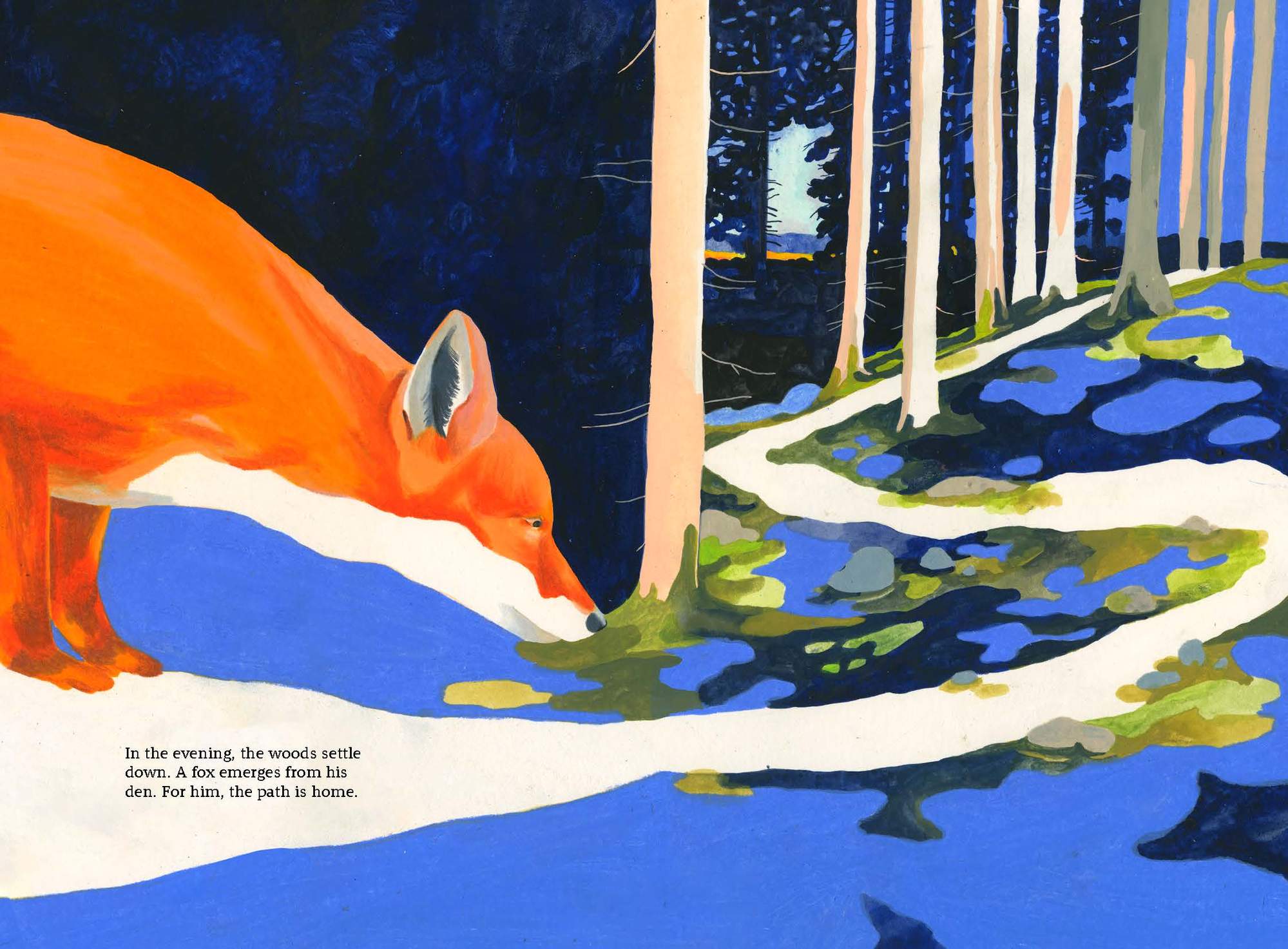 In the evening, the woods settle down. A fox emerges from his den. For him, the path is home.