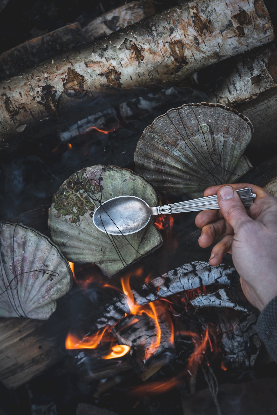 Photo: Nicolai & Eva Tram, Cooking on Fire, gestalten 2023