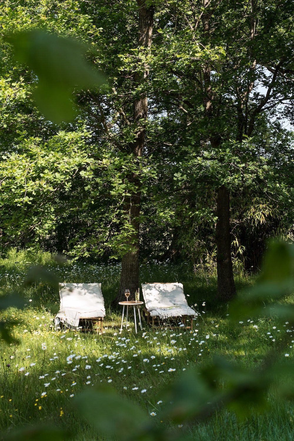 A thoughtful guide to a new kind of travel, Slow Escapes explores hotels, guesthouses, and hospitality venues that are reinvigorating rural areas by fostering meaningful connections between people and place.