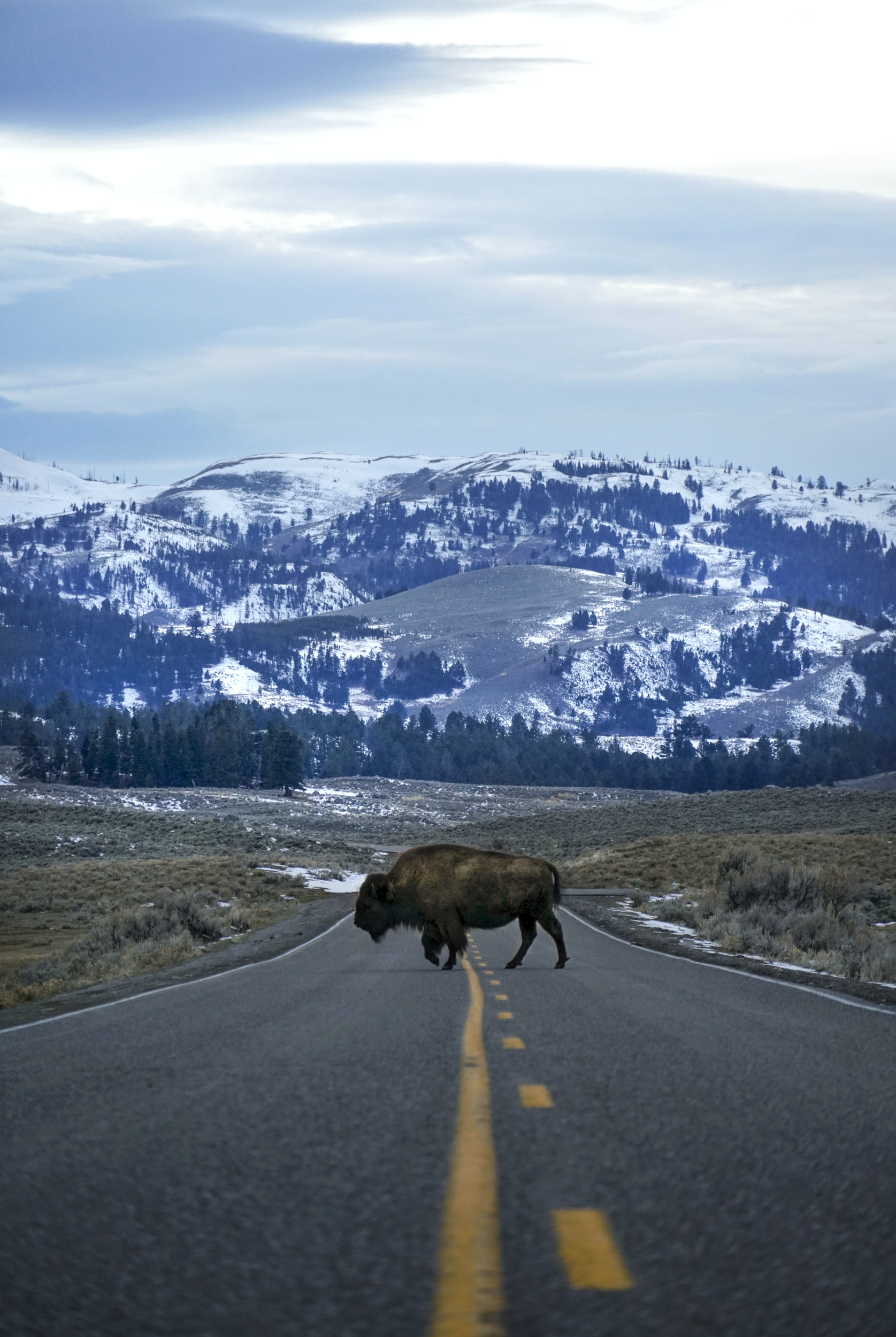 Travel Back in Time with a Thrilling Adventure on the Historic Oregon Trail from Buffalo to Oregon City. The Great American Road Trip shows the best road-trips in the USA.