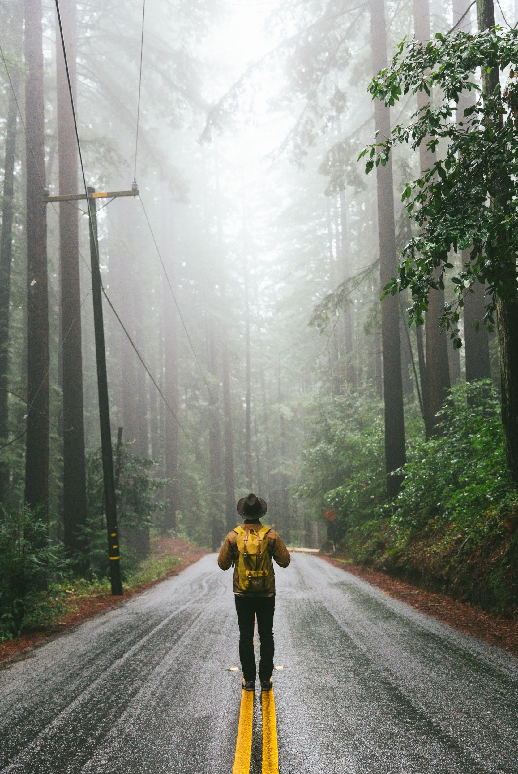 Skirt the Ocean: Soak In the Views on This Pacific Coast Highway Trip from San Diego to Vancouver. Explore the USA with The Great American Road Trip, a book by gestalten.