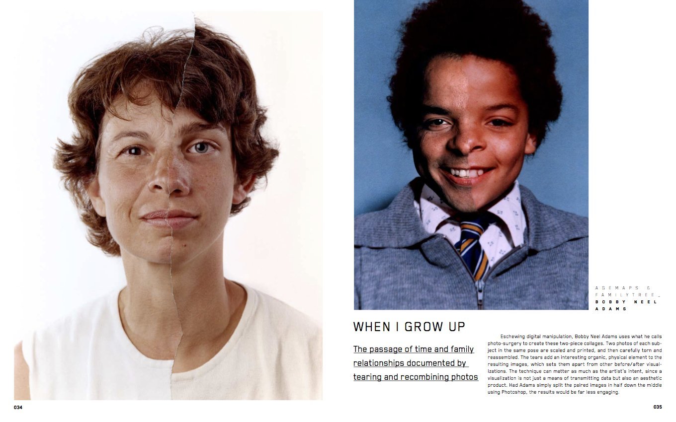 When I grow up an art project by Nicholas Felton in PhotoViz
